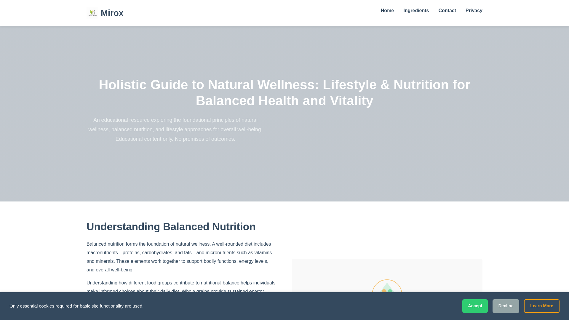 website screenshot of https://miroxst.info/