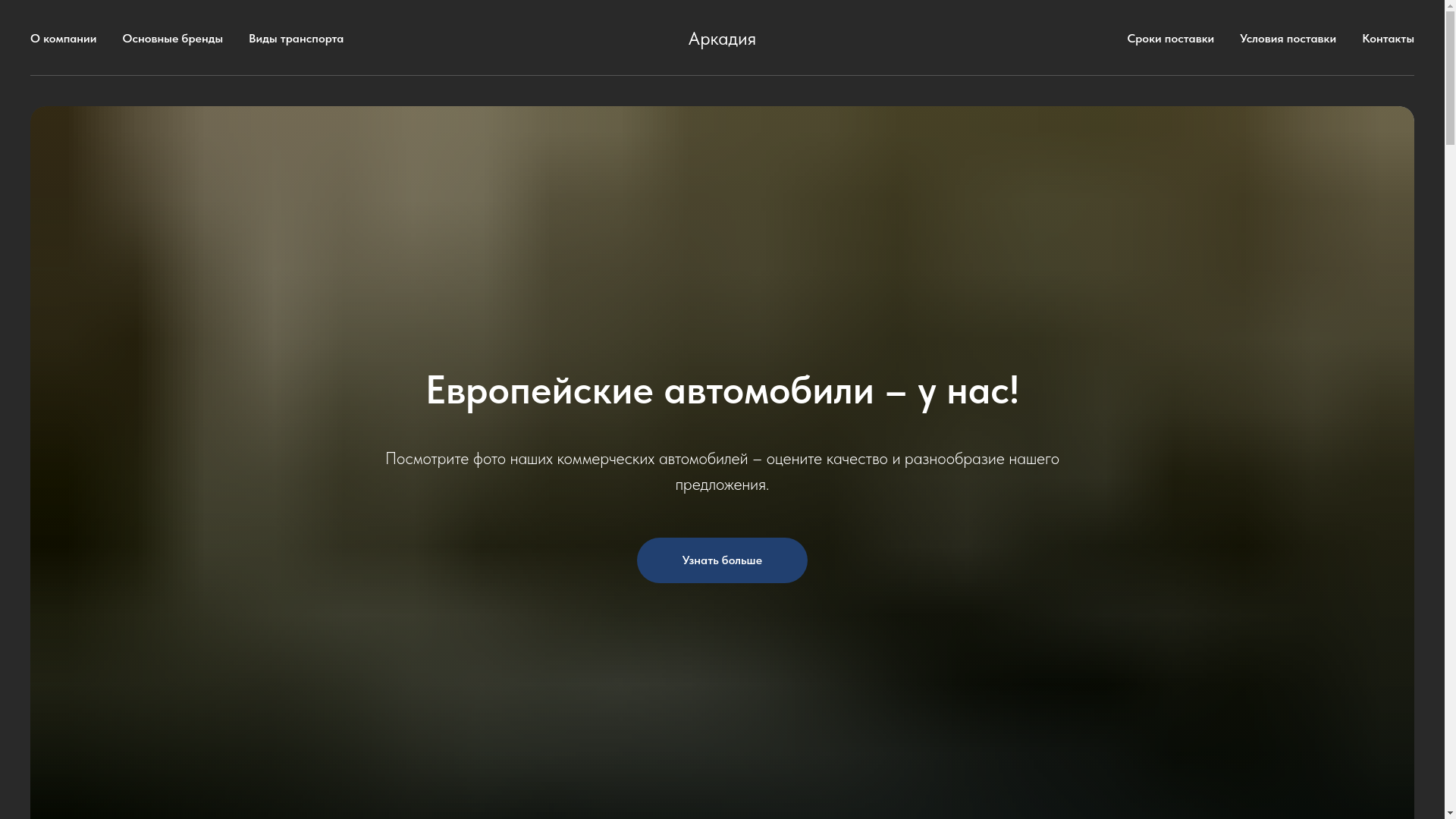 website screenshot of https://arcadiab.ru/