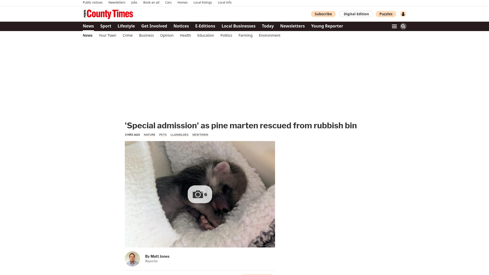 website screenshot of https://www.countytimes.co.uk/news/26071566.special-admission-pine-marten-rescued-rubbish-bin/