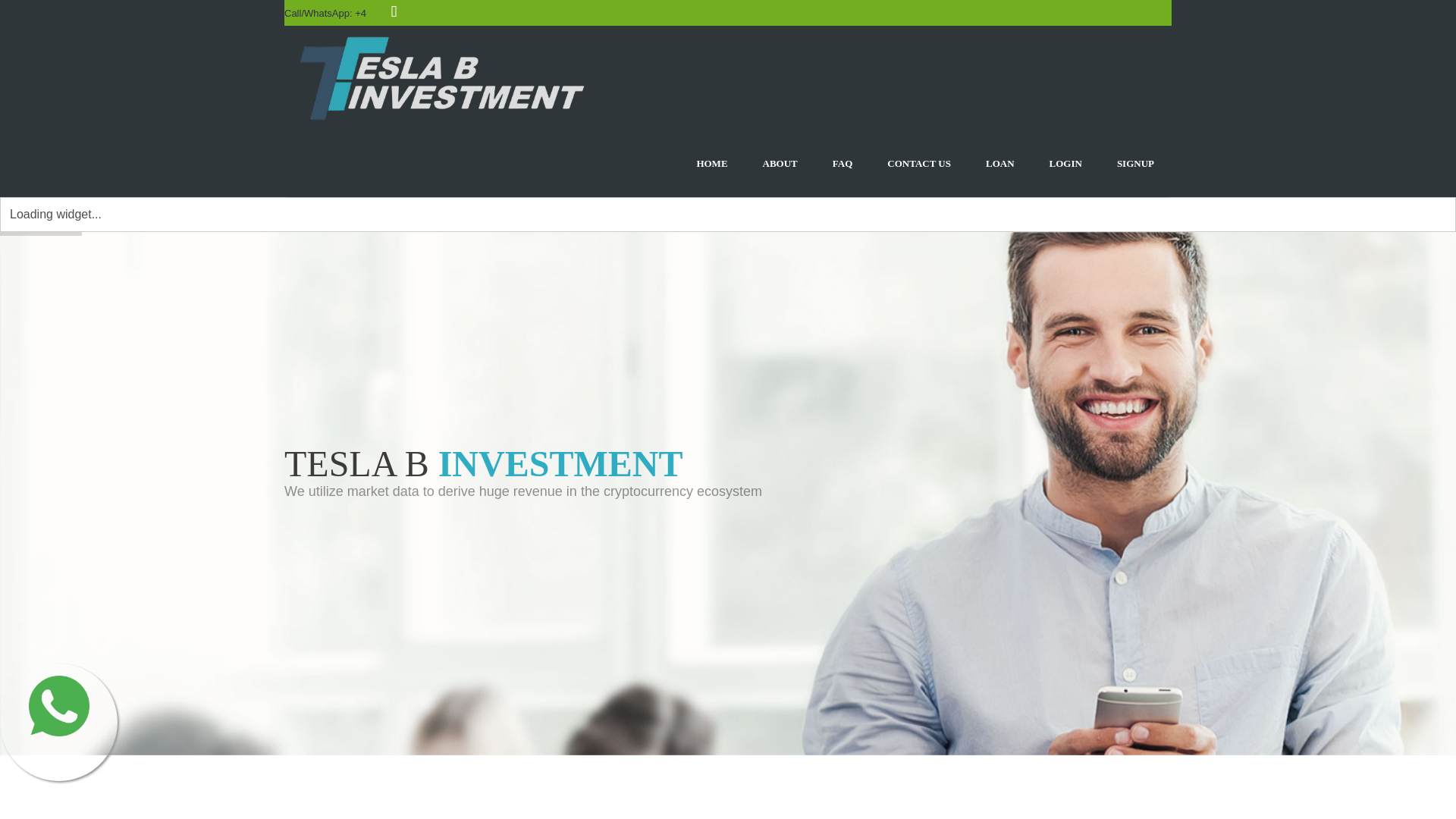 website screenshot of http://teslabinvestment.com