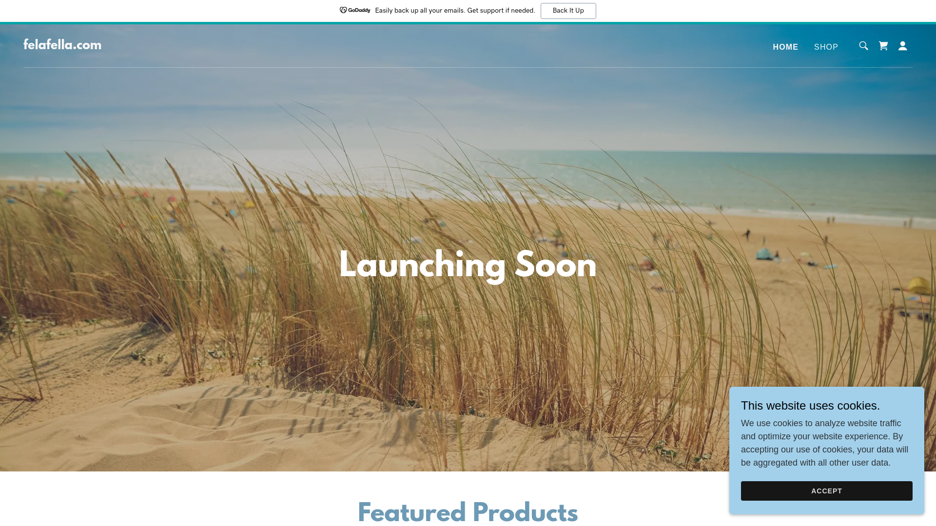 website screenshot of https://felafella.com/