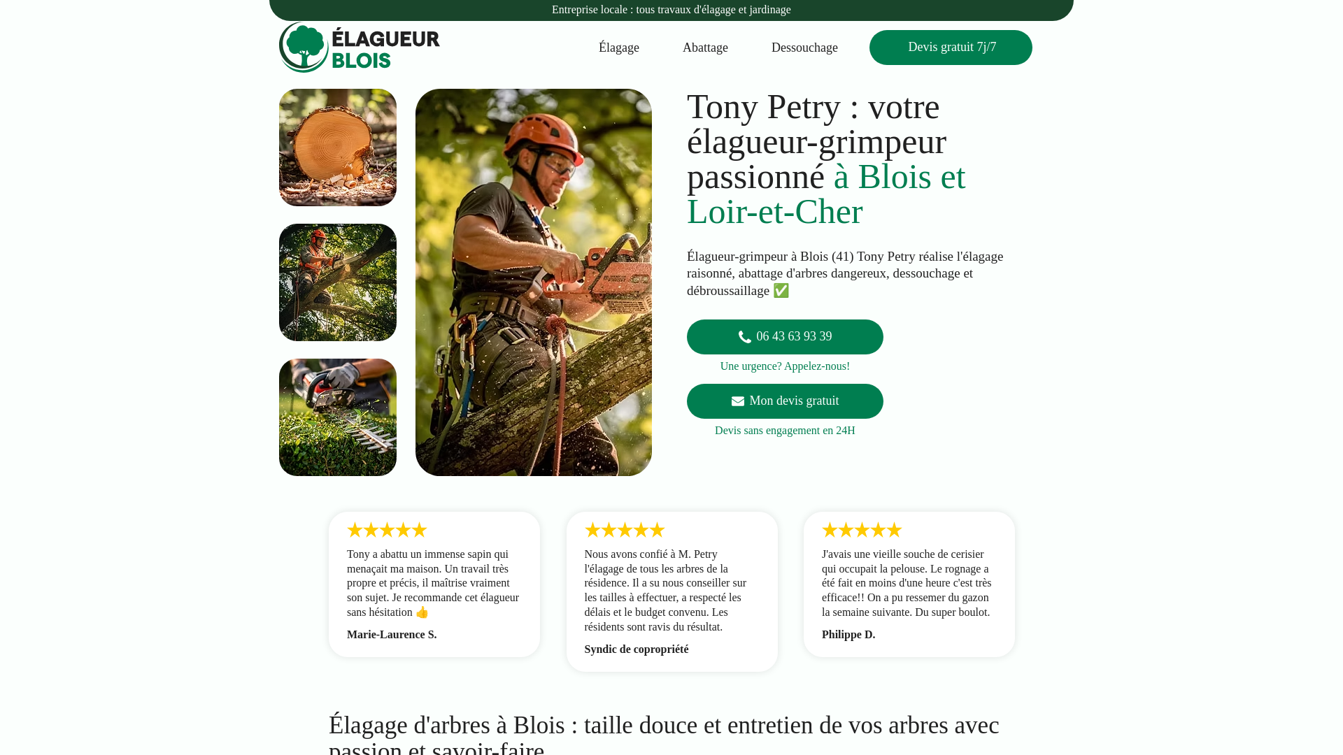 website screenshot of https://elagueur-blois.fr/