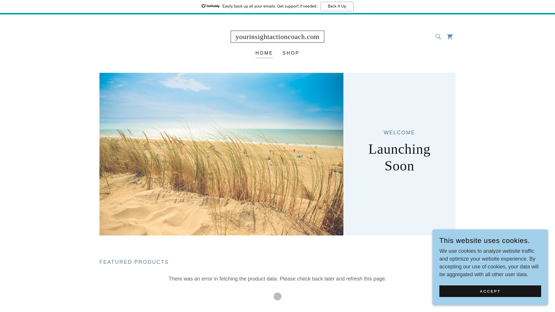 website screenshot of https://yourinsightactioncoach.com/
