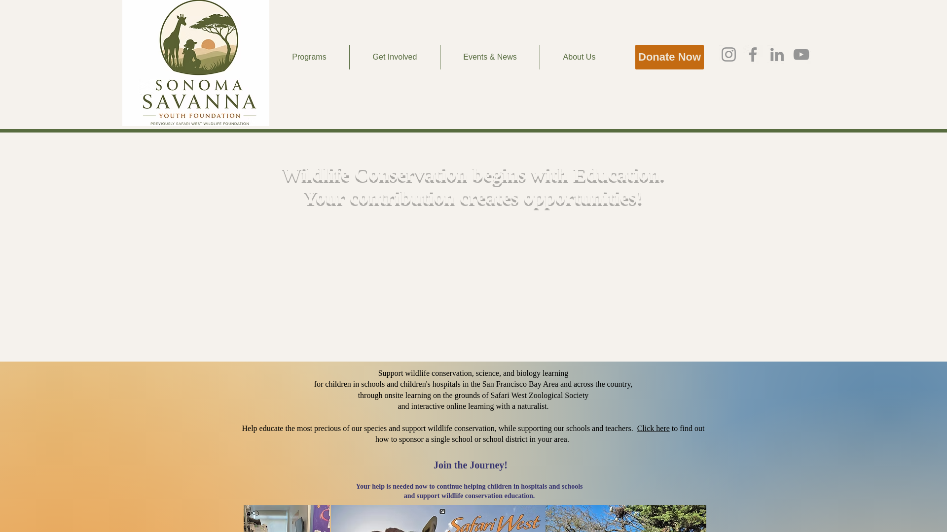 website screenshot of https://sonomasavannayouth.org/