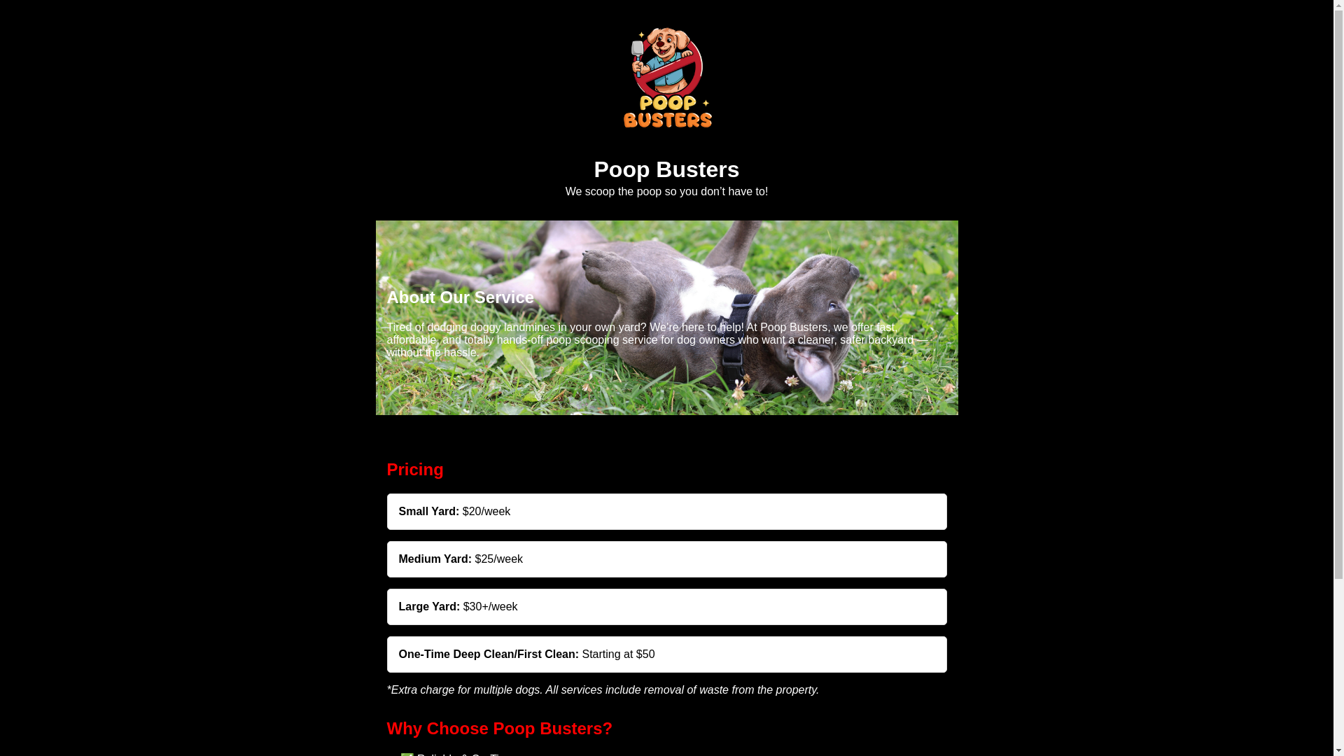 website screenshot of https://poopbusters1.pages.dev/