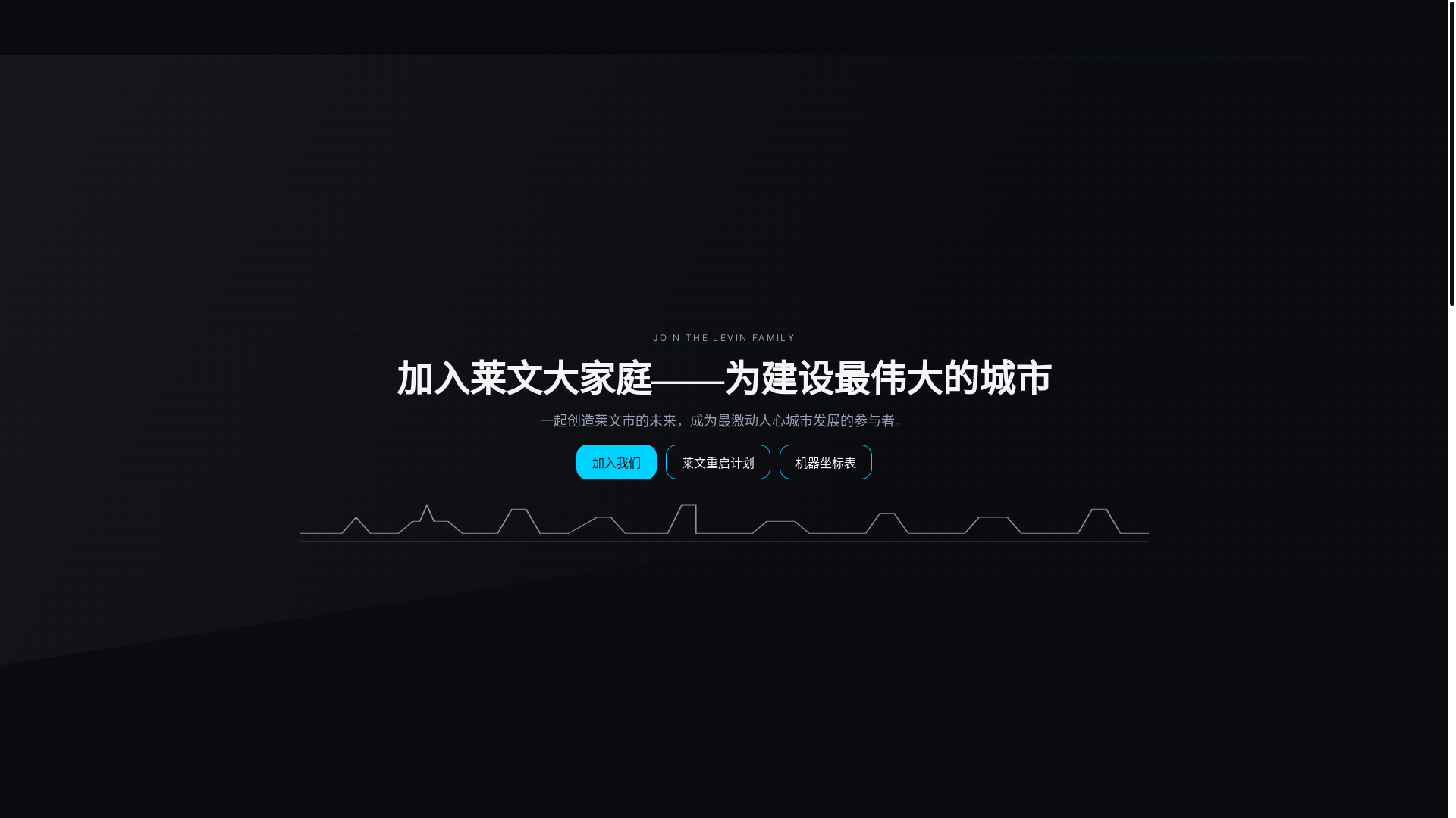 website screenshot of https://levincity.pages.dev/