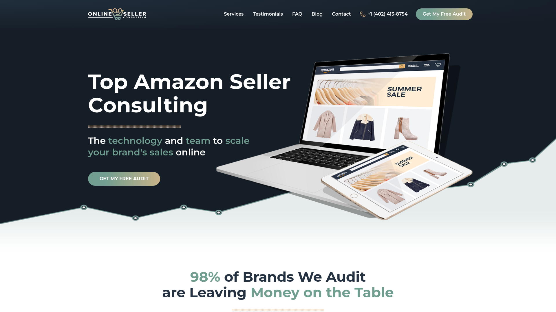 website screenshot of https://teamonlineseller.info/