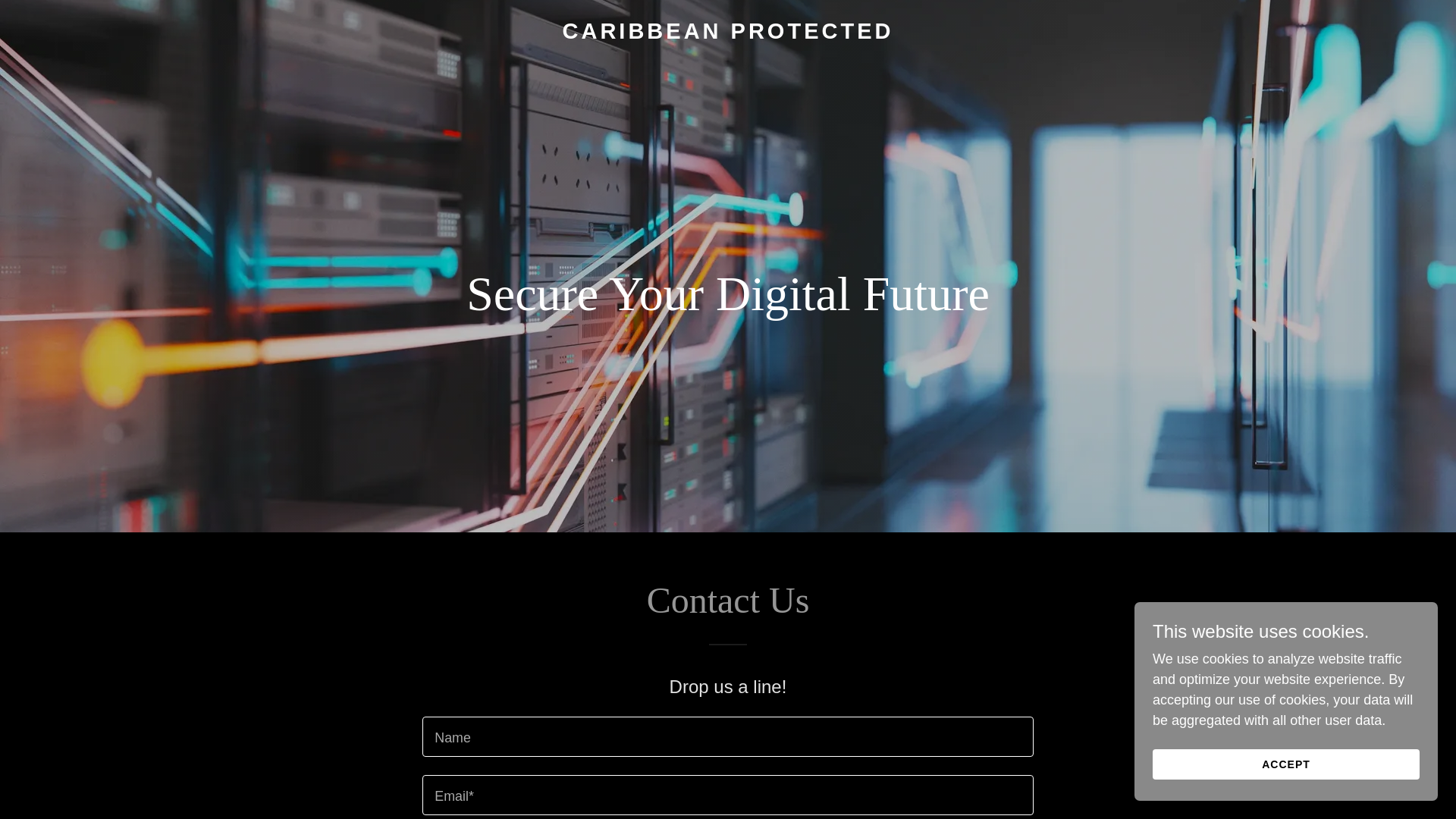 website screenshot of https://caribbeanprotected.com/