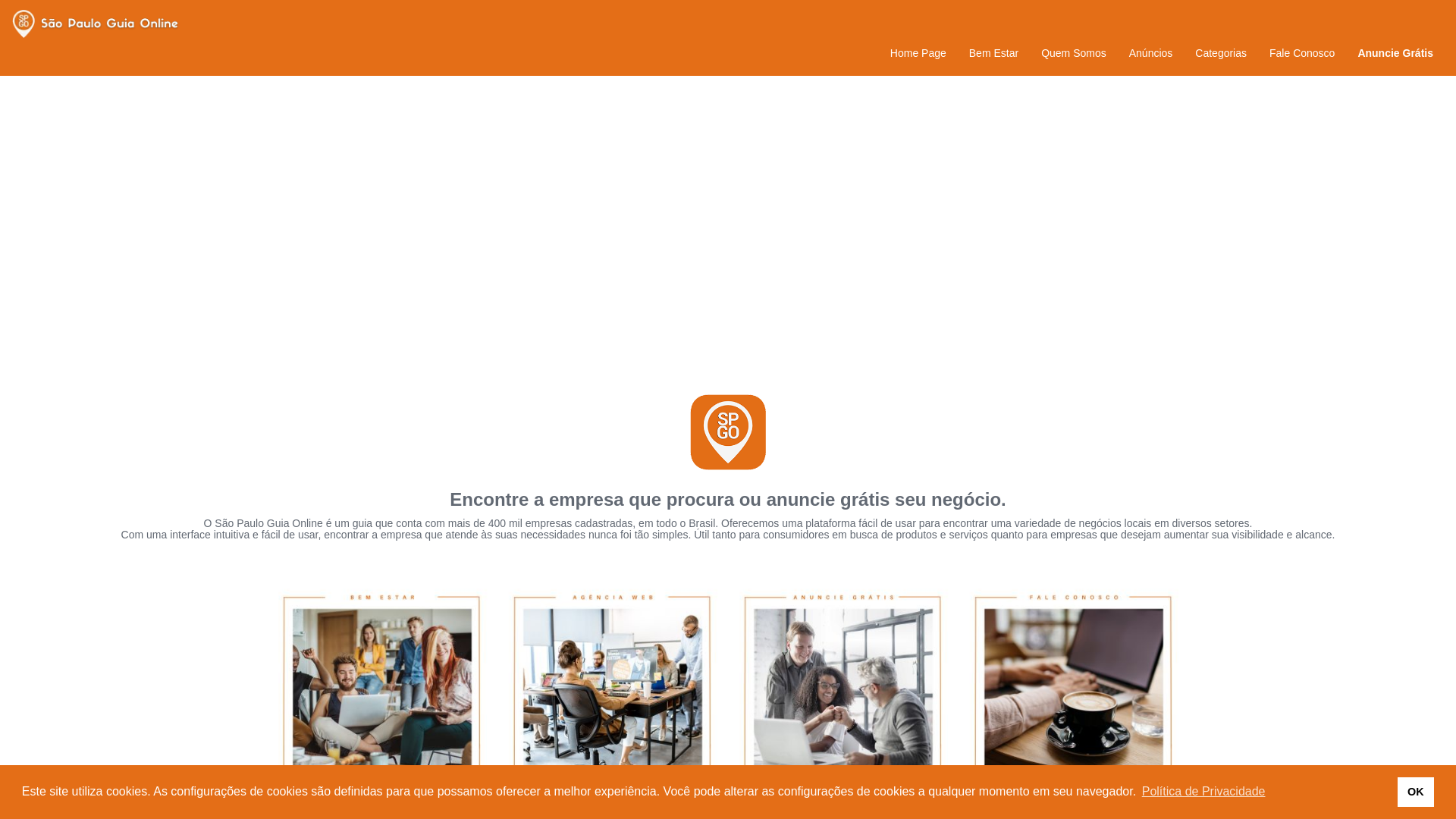 website screenshot of https://saopauloguiaonline.com.br
