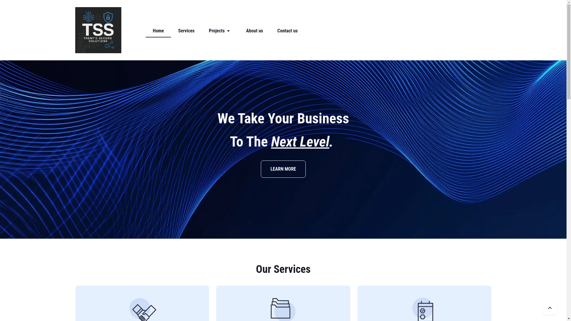 website screenshot of https://trentssecuresolution.com/