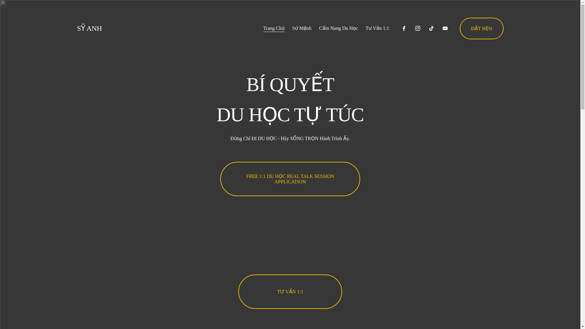 website screenshot of https://syxanh.com/