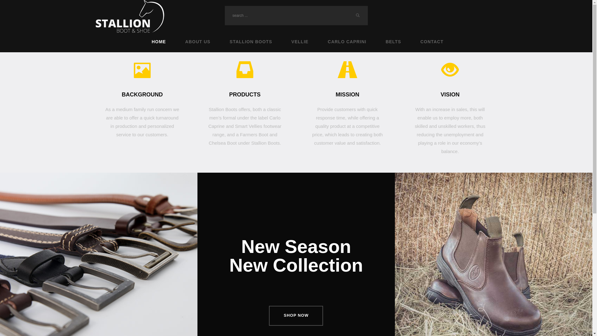 website screenshot of https://stallion-boots.co.za/