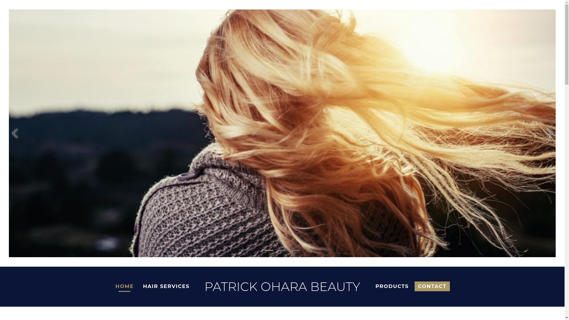 website screenshot of https://patrickoharadallas.com/