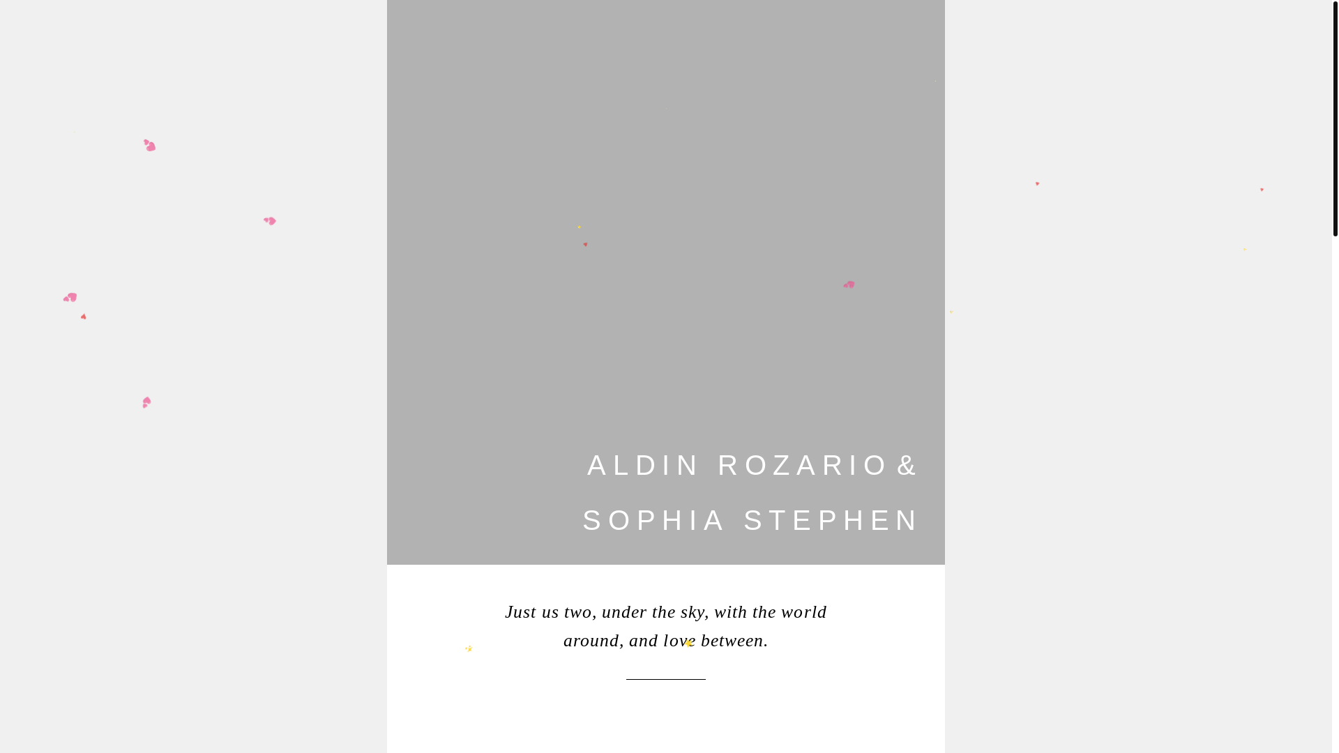 website screenshot of https://aldinsophiawedding.pages.dev/