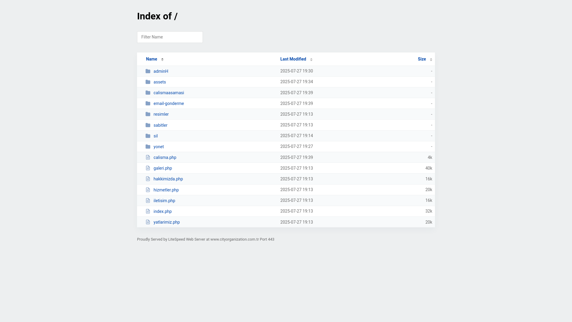 website screenshot of https://cityorganization.com.tr/