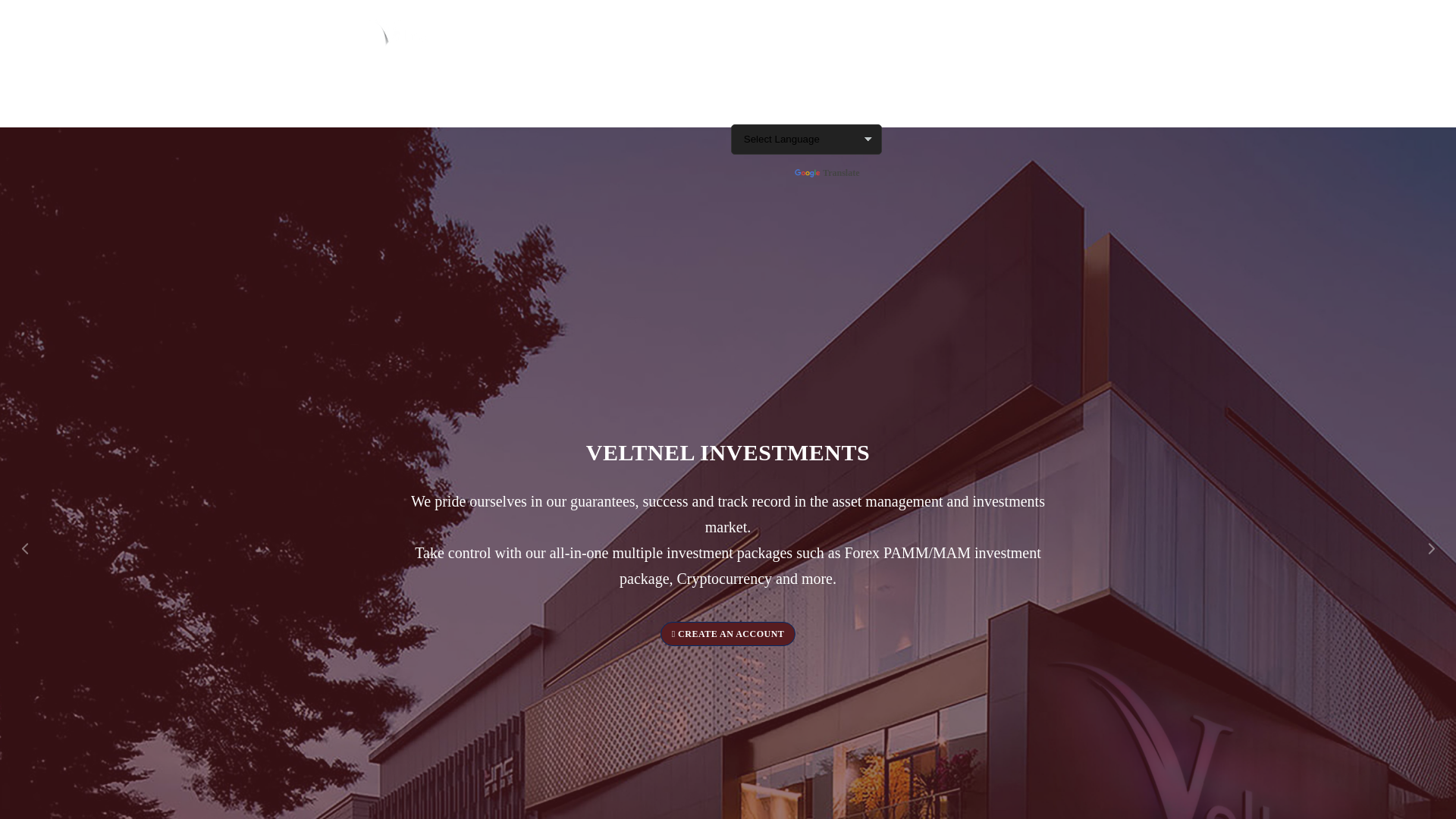 website screenshot of http://veltnel.com