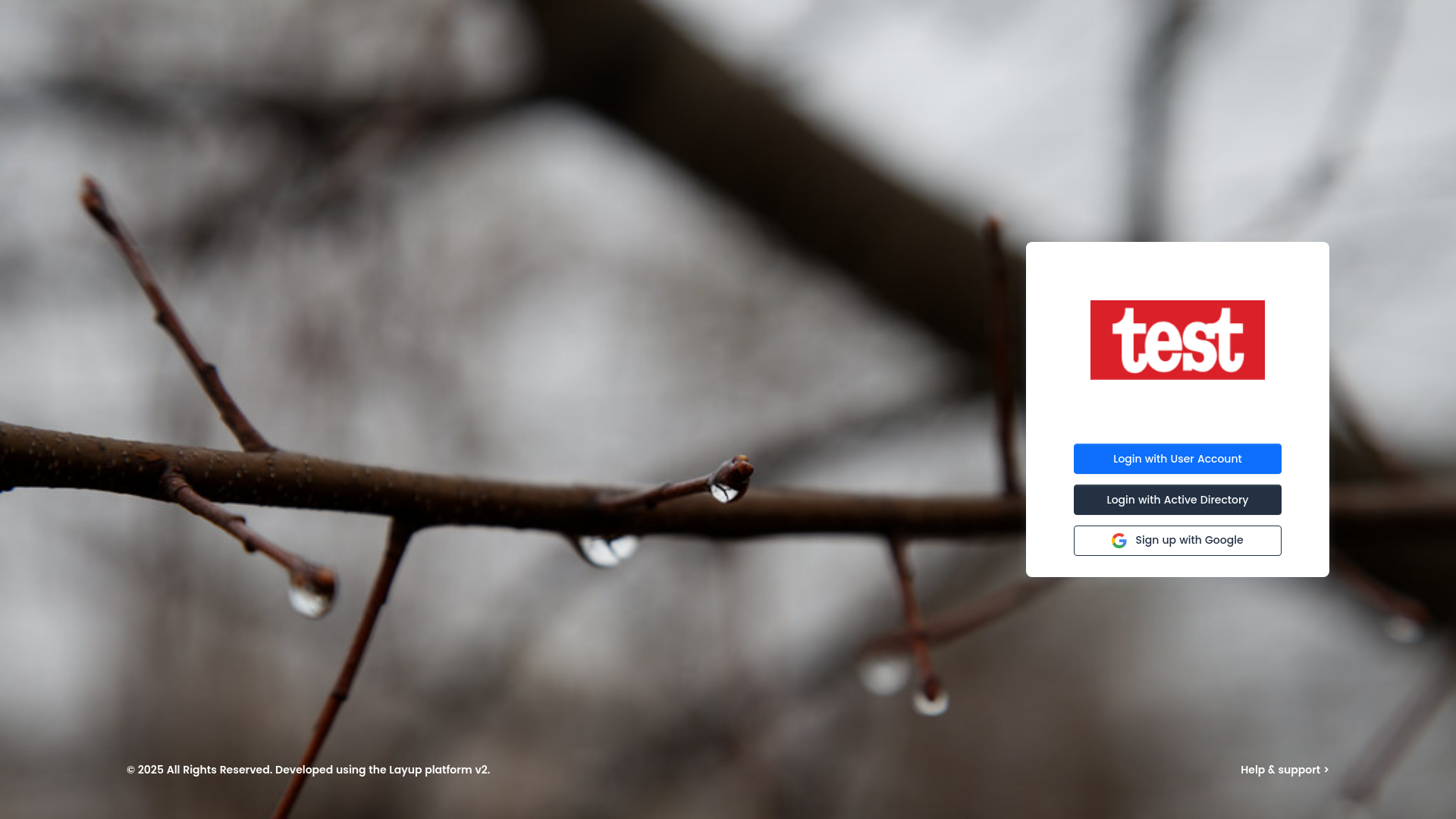 website screenshot of https://layupcloud.com/
