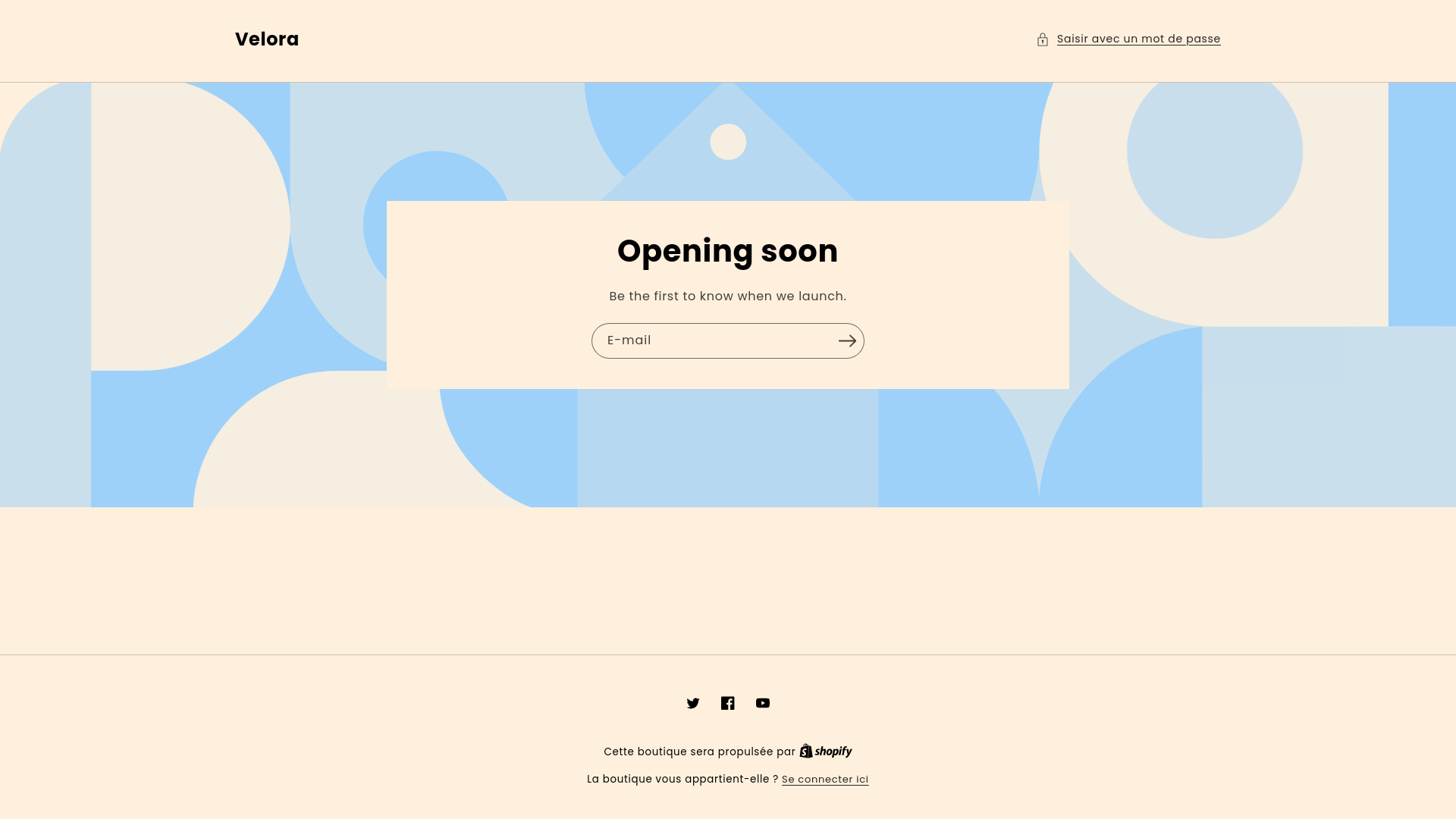 website screenshot of https://velora-foulard-soie.com/