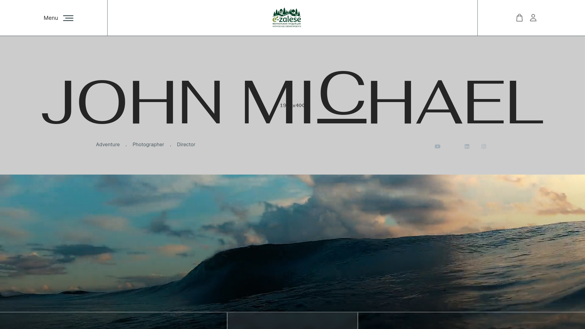 website screenshot of https://e-zalese.ru