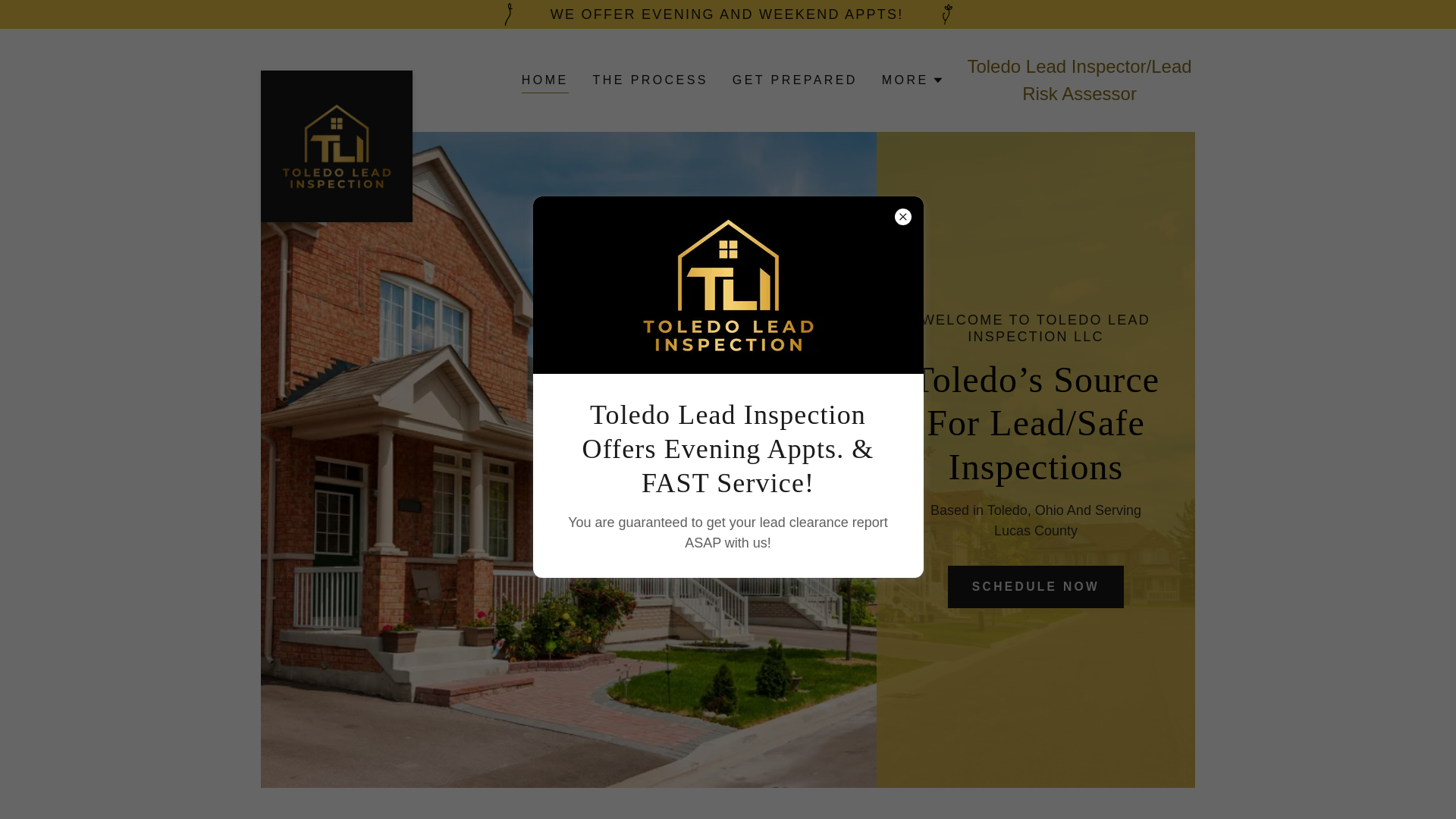website screenshot of https://toledoleadinspection.net/
