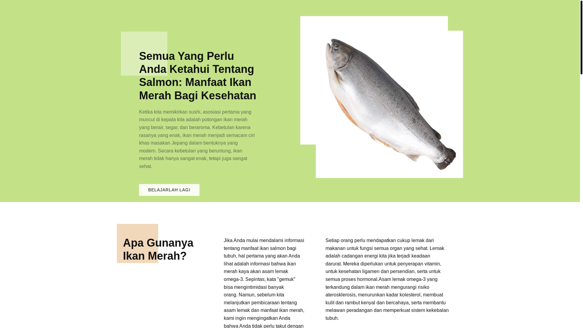 website screenshot of https://idafarutu.store/