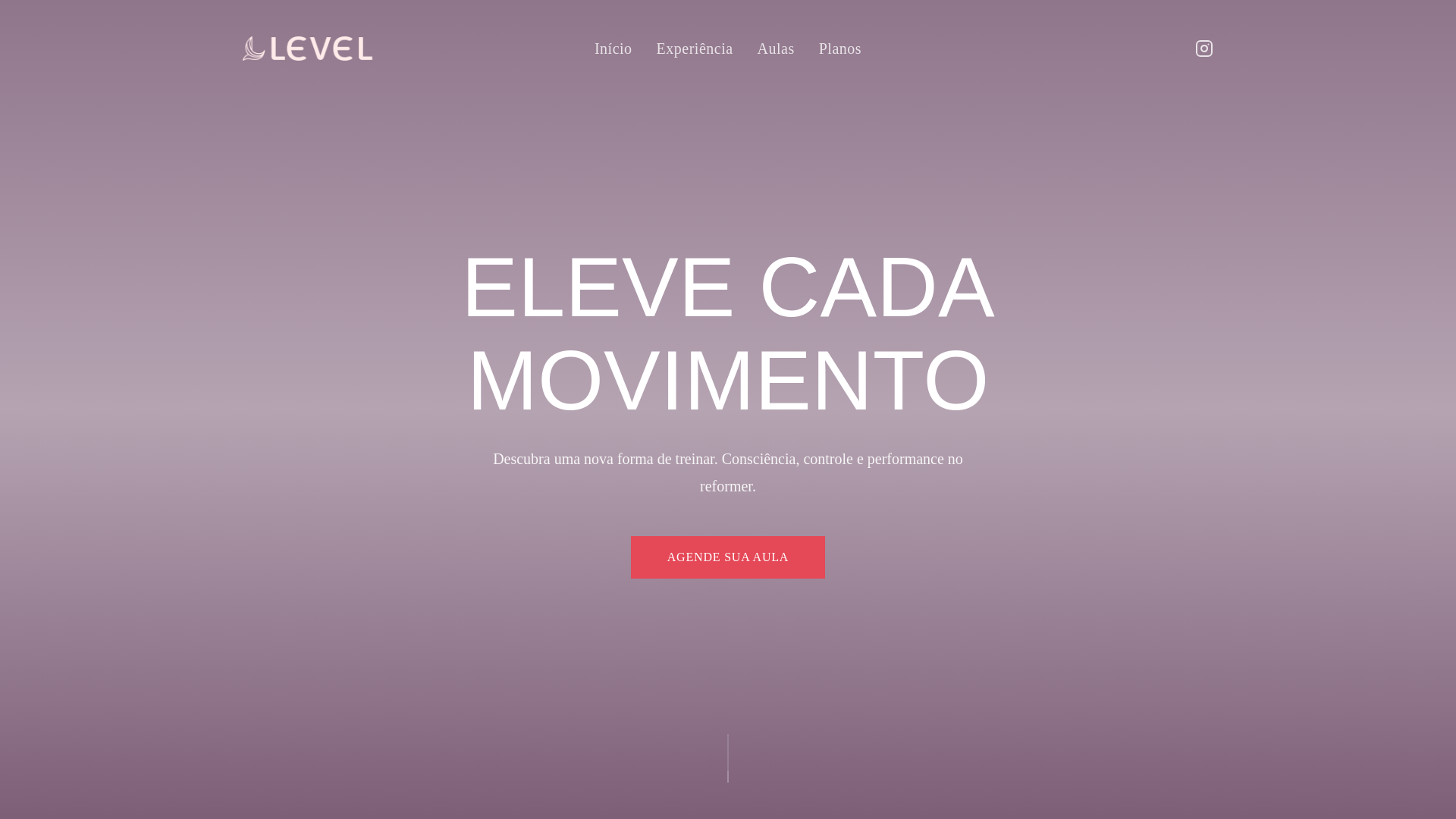 website screenshot of https://levelrt.com.br/