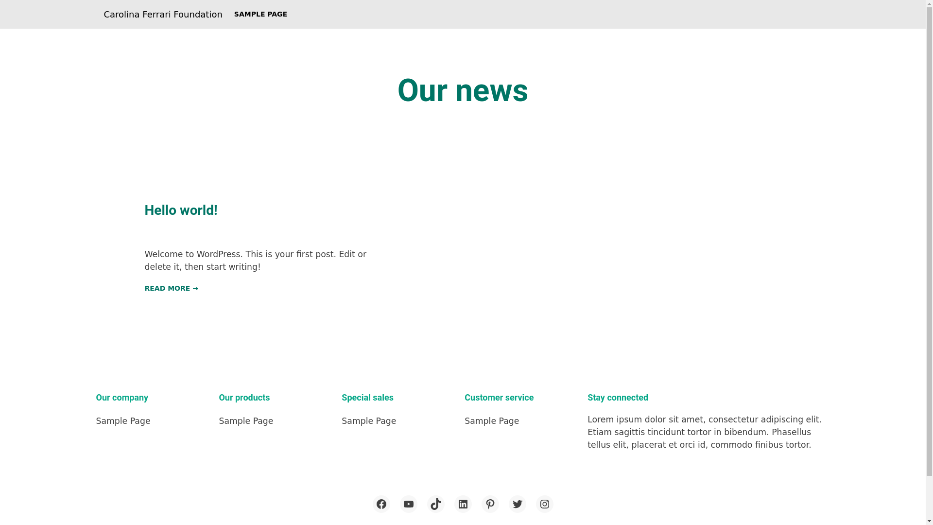 website screenshot of https://carolinaferrarifoundation.com/