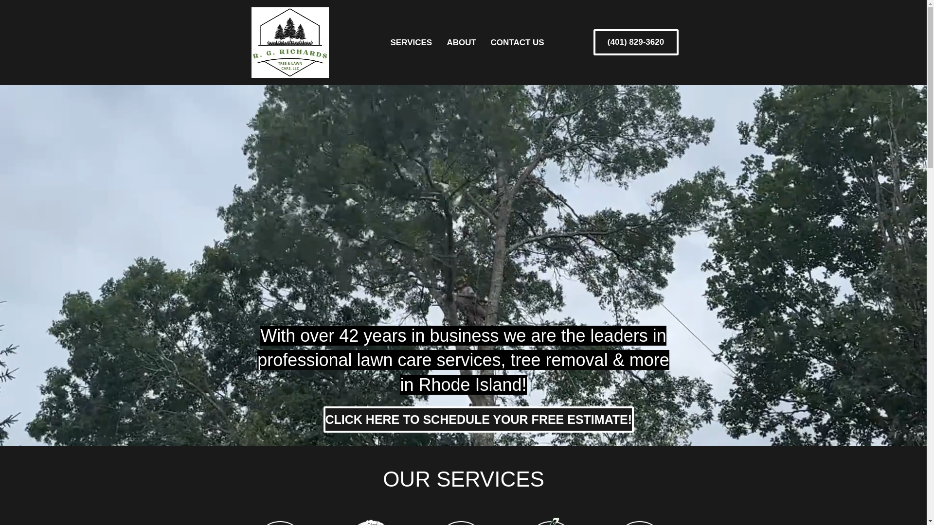 website screenshot of https://treeandlawnri.com/