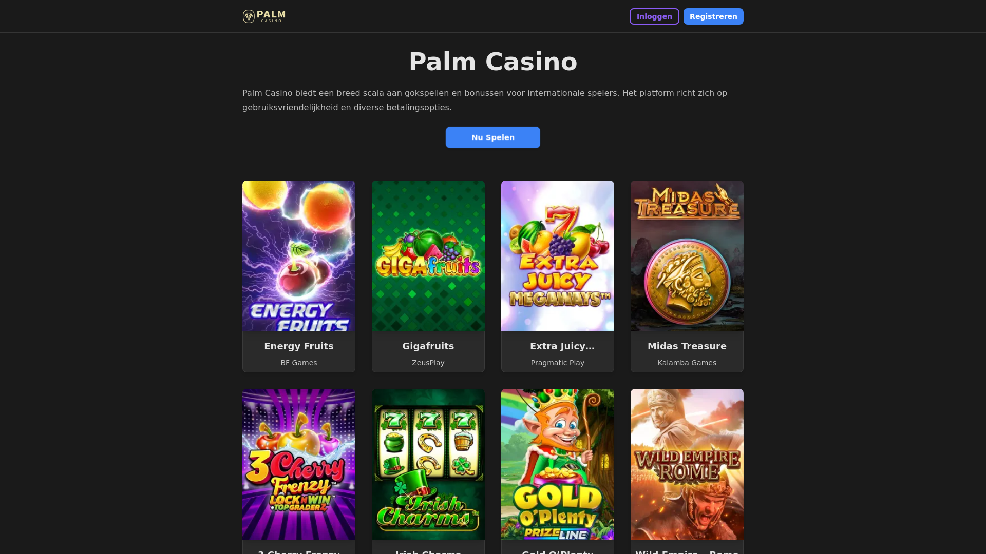 website screenshot of https://palmnl-com.pages.dev/