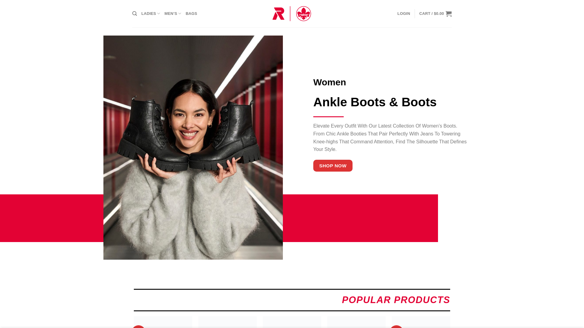 website screenshot of https://fashionablesshoe.com/