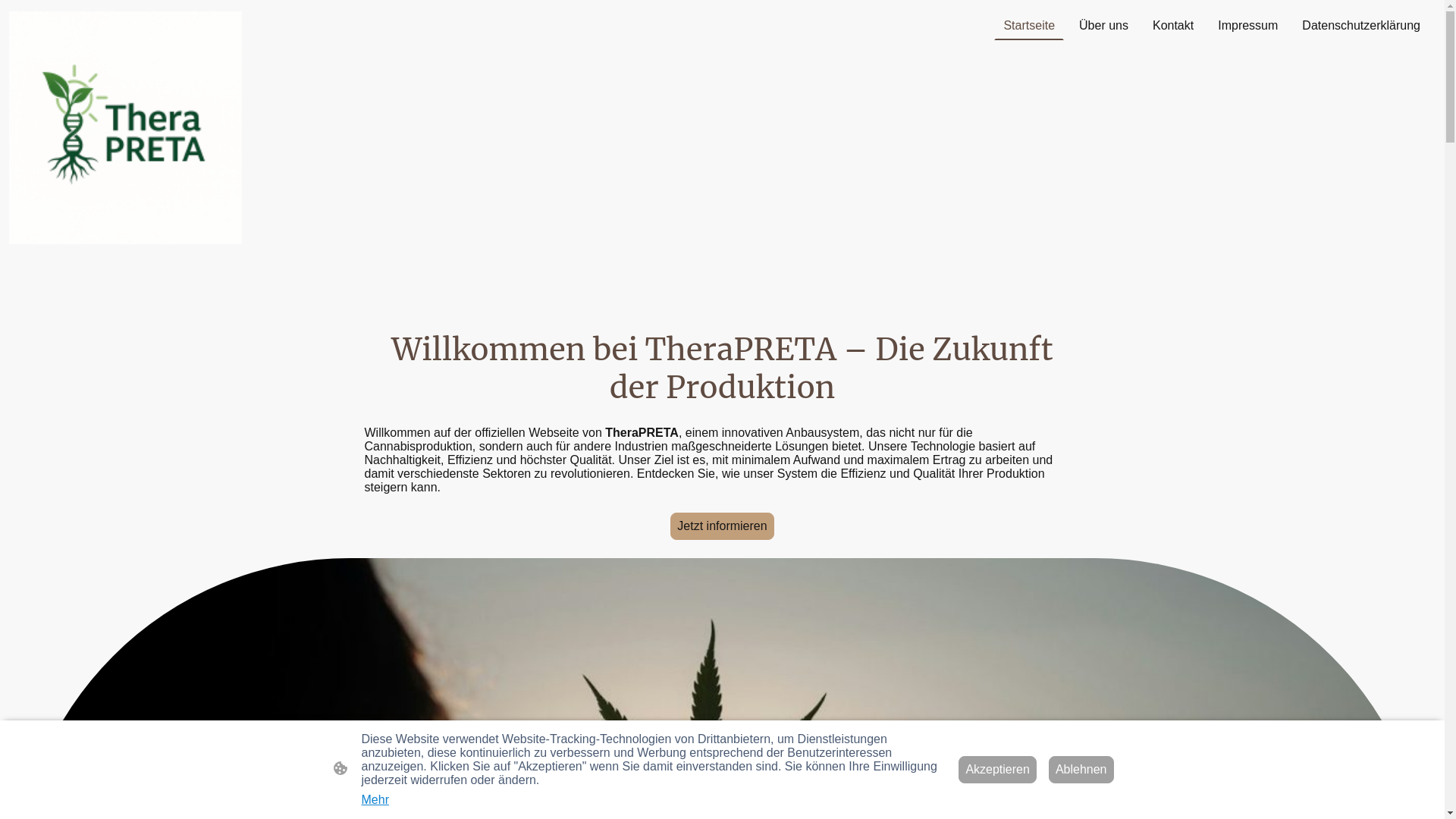 website screenshot of https://therapreta-systems.com/