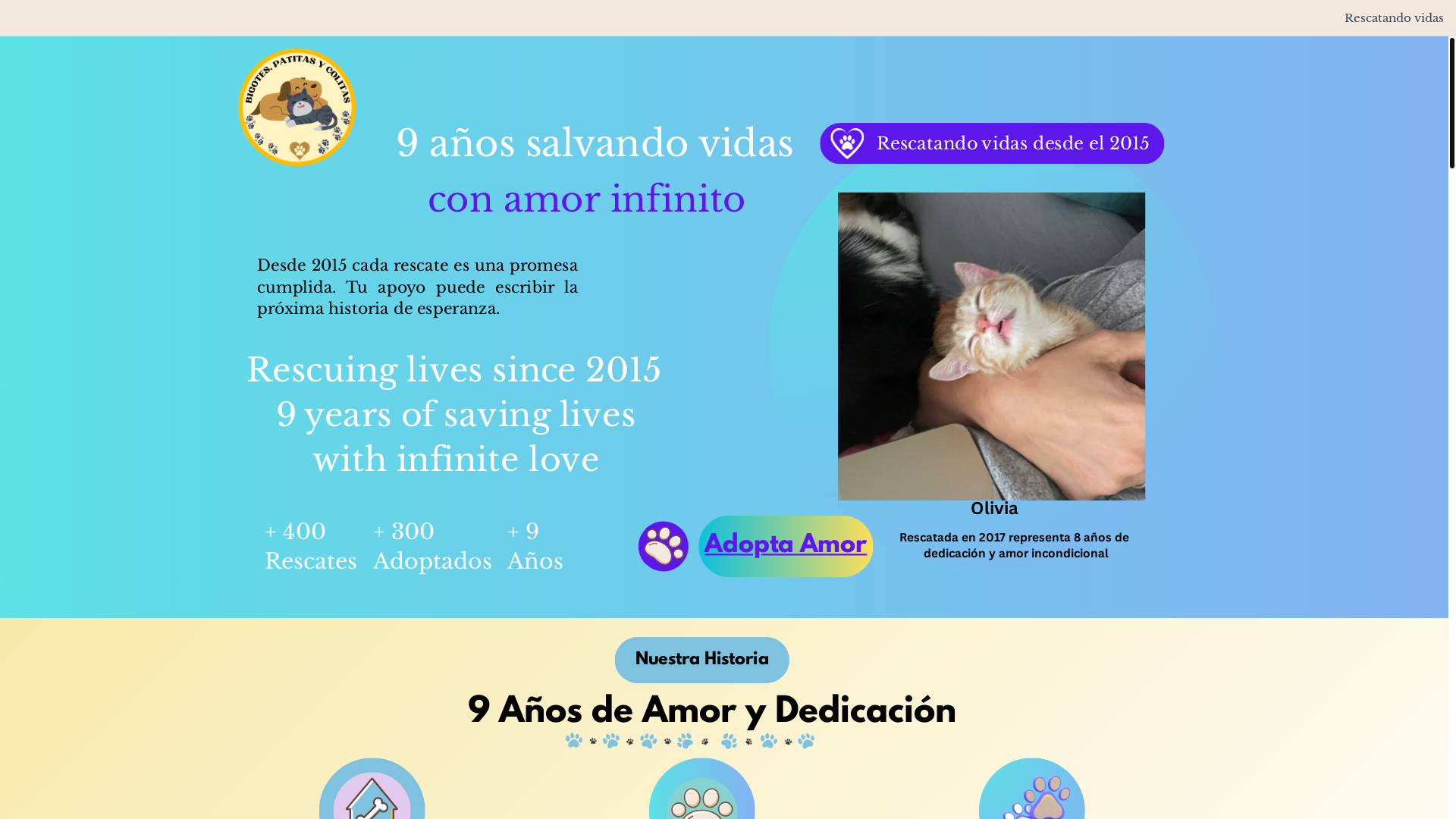website screenshot of https://bigotespatitasycolitas.com/