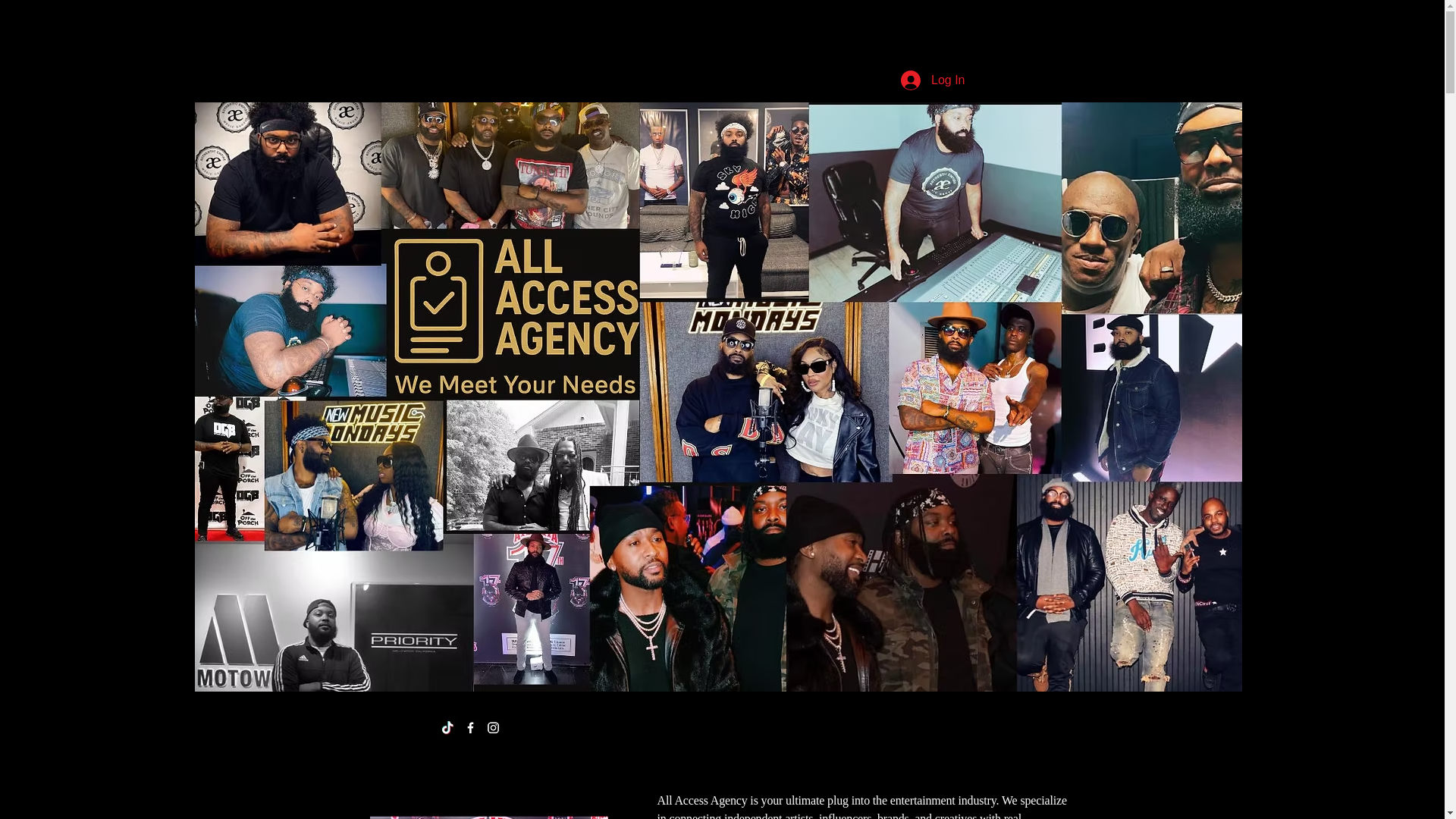 website screenshot of https://officialallaccessagency.com/