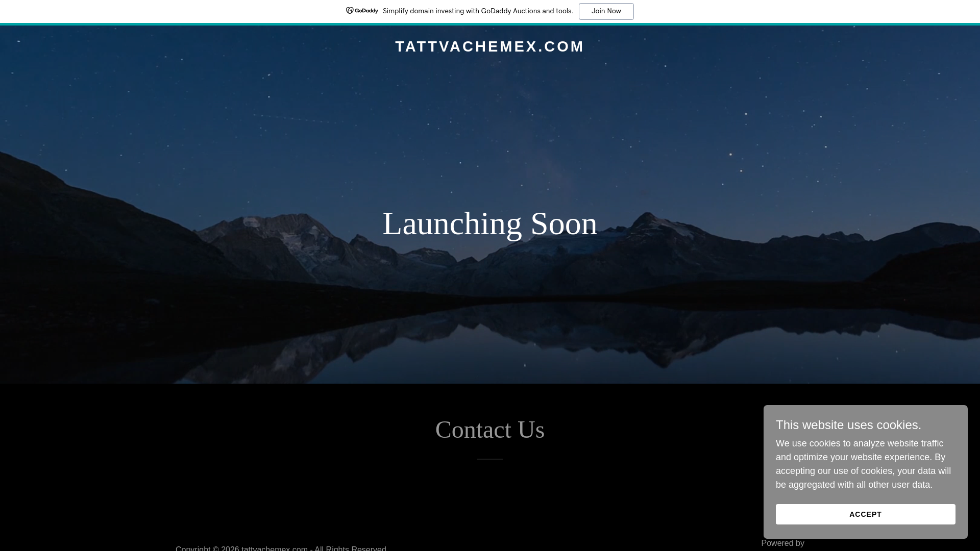 website screenshot of https://tattvachemex.com/