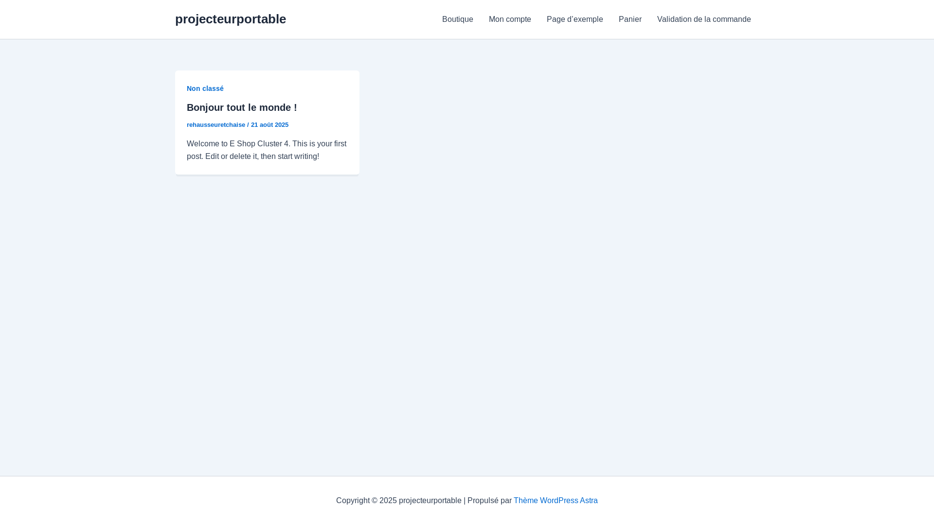 website screenshot of https://projecteurportable.com/