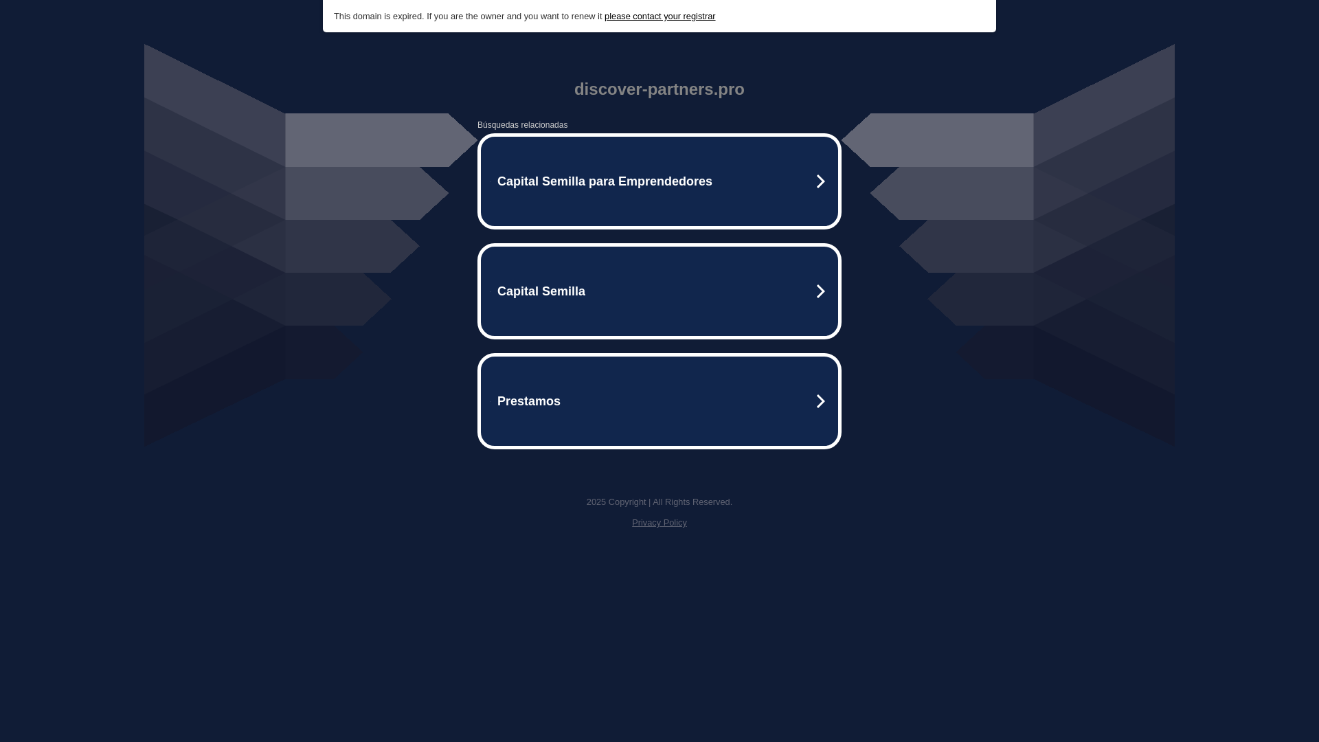 website screenshot of https://discover-partners.pro/
