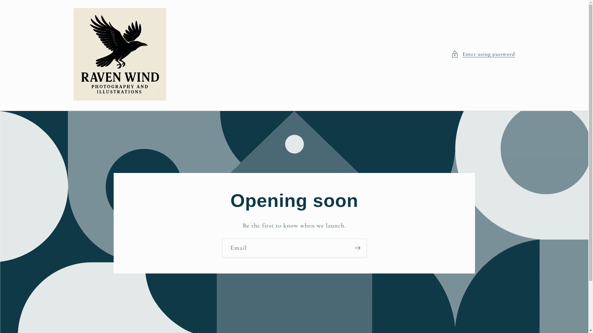 website screenshot of https://ravenwindphoto.com/