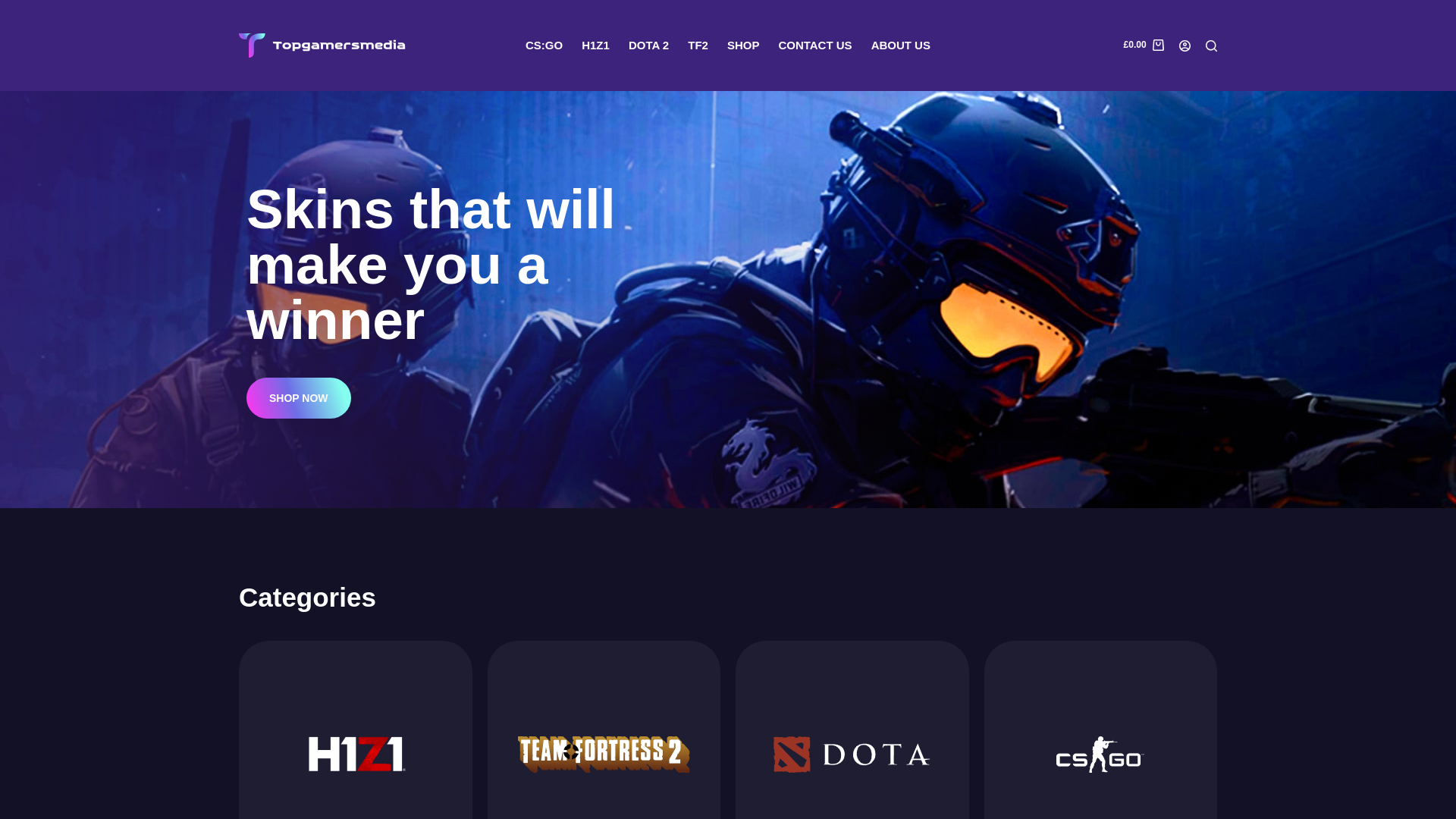 website screenshot of https://topgamermedia.com/
