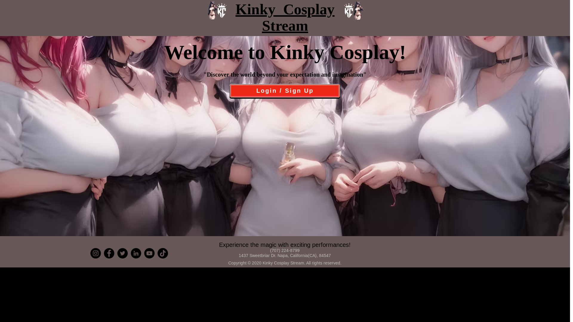 website screenshot of https://www.kinkycosplaystream.com/account