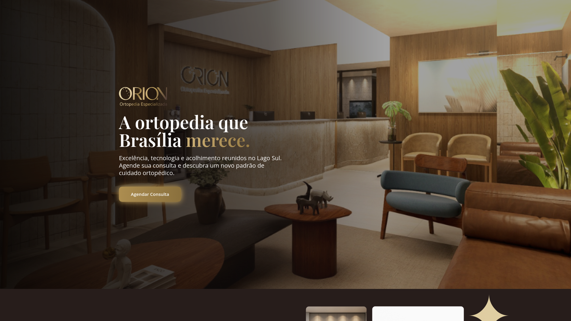 website screenshot of https://orionortopedia.com.br/