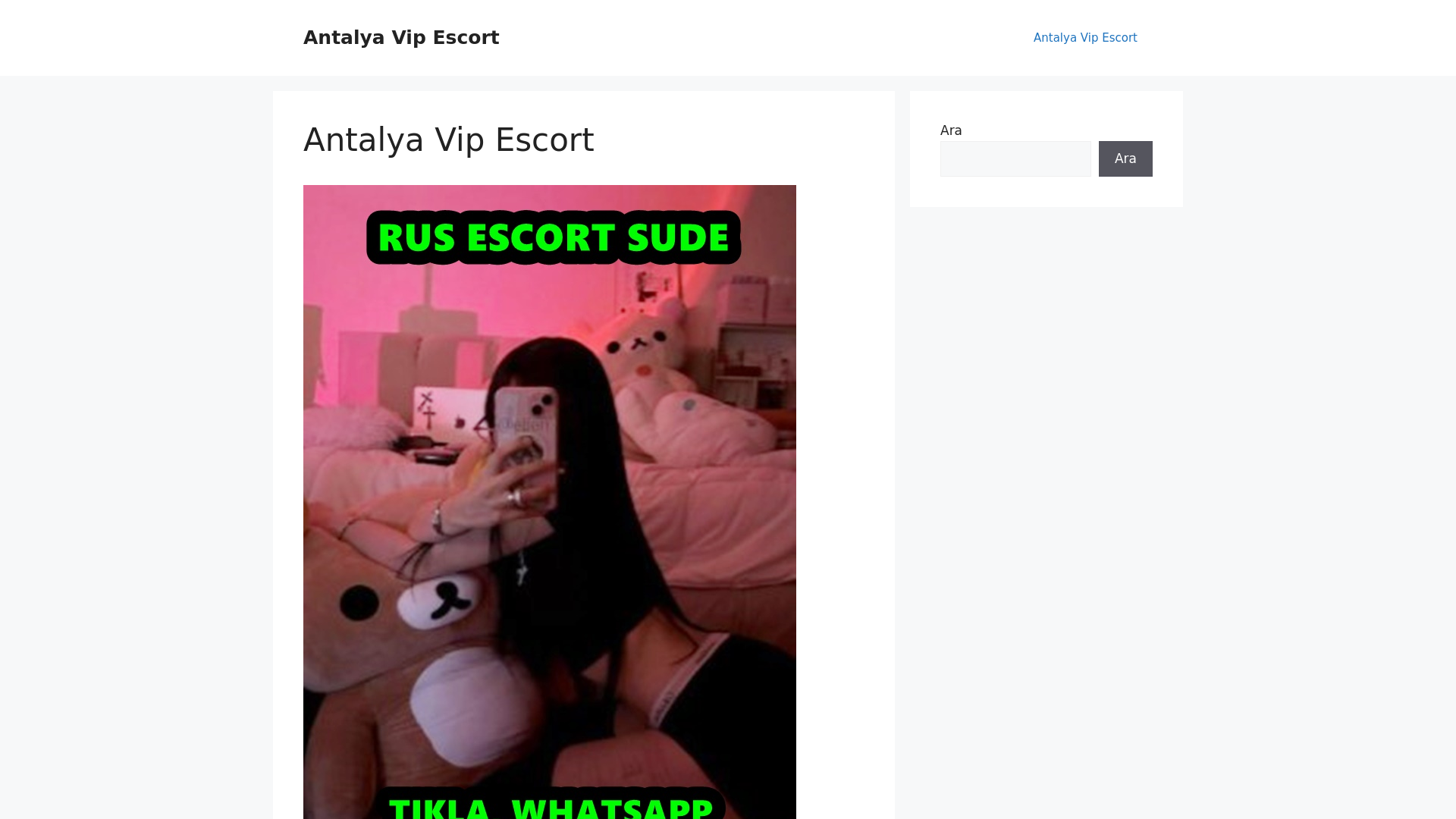 website screenshot of https://antalyavipescort.cfd/