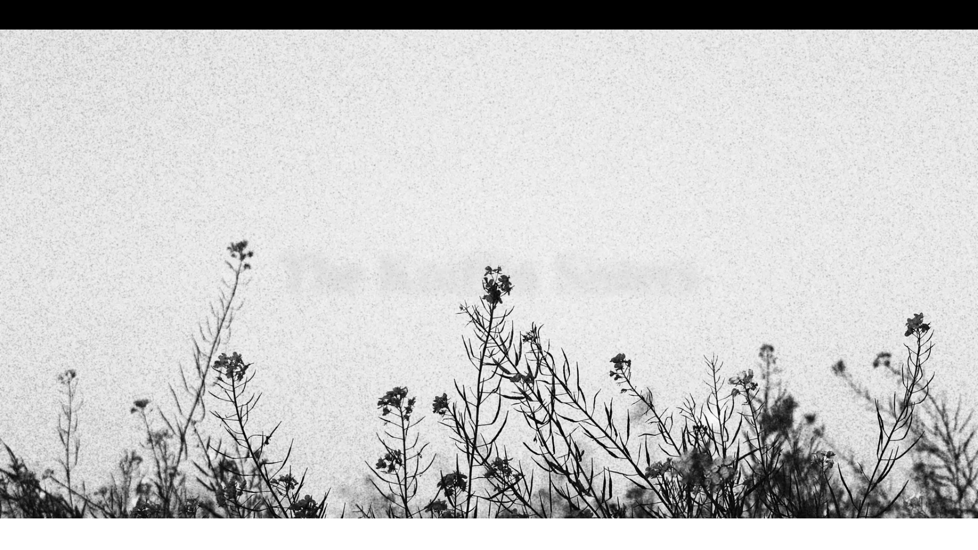 website screenshot of https://kniffinsistersmusic.com/