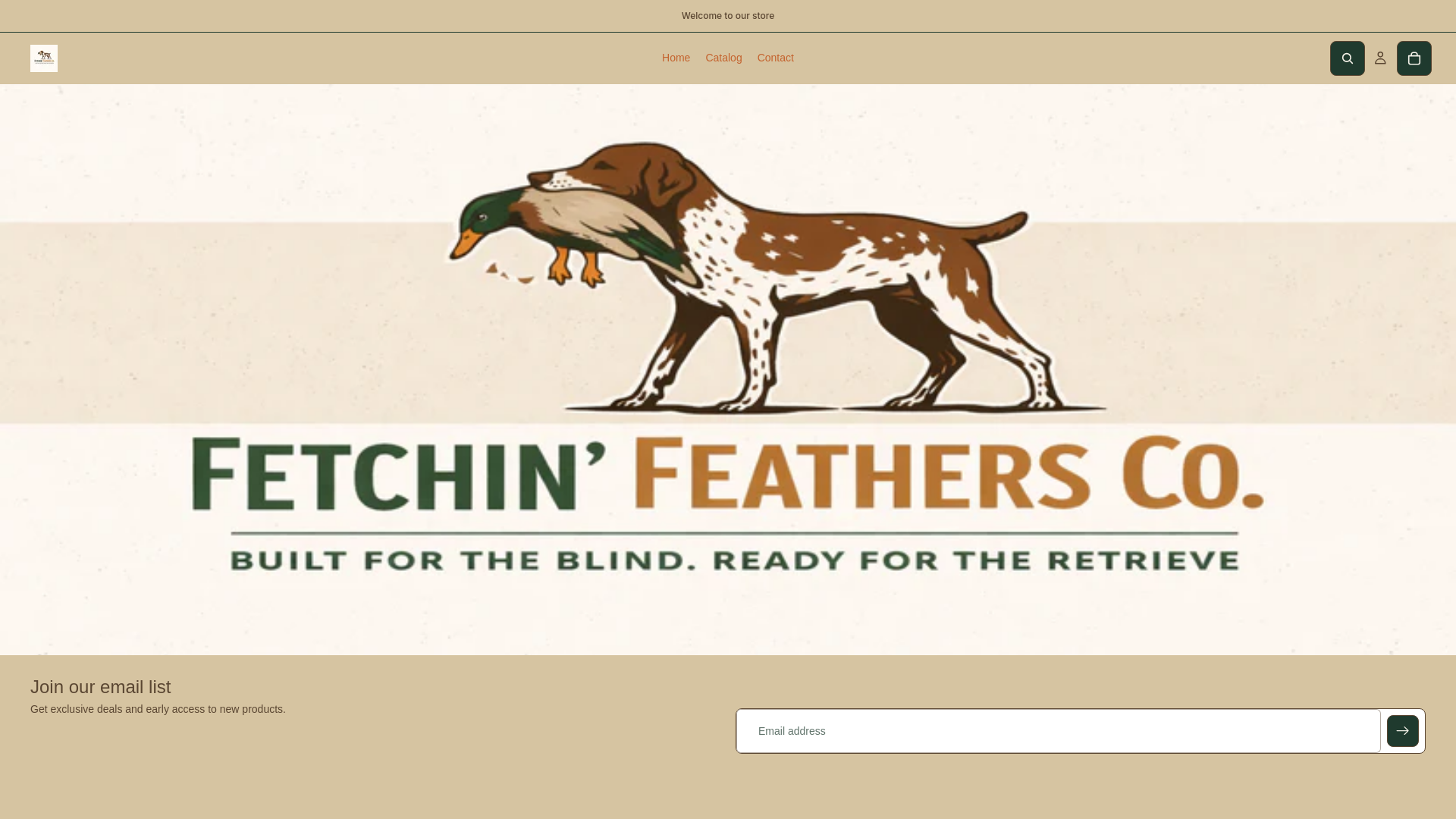 website screenshot of https://fetchinfeathersco.com