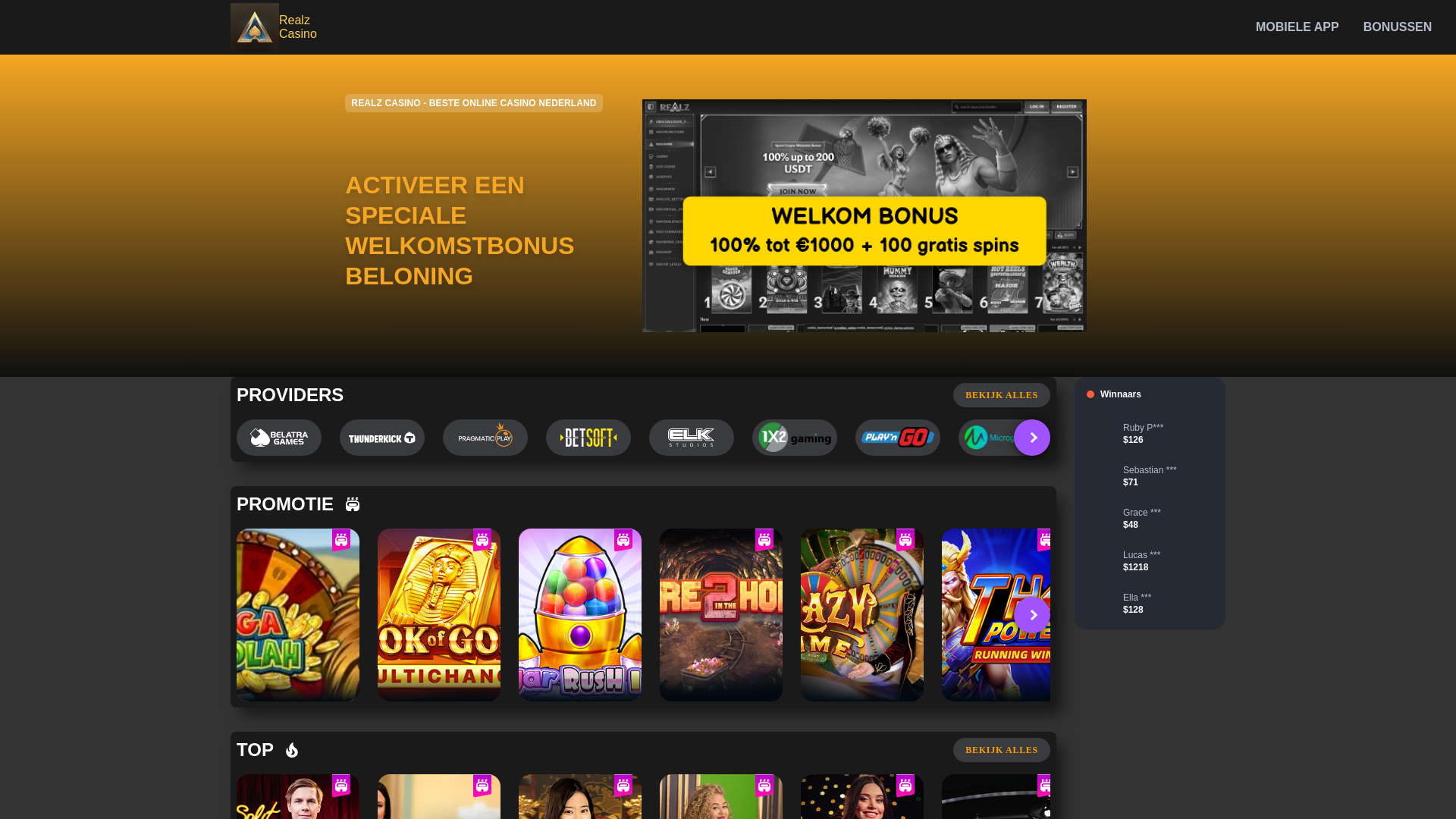 website screenshot of https://casino-realz-nl.pages.dev/