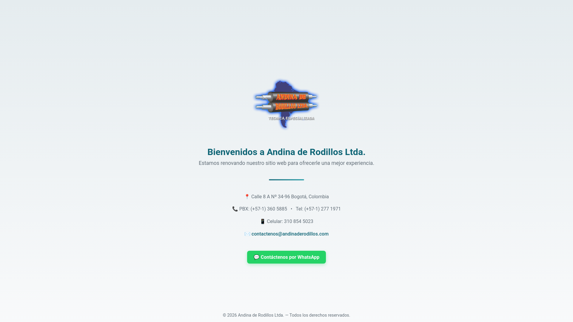 website screenshot of https://andinaderodillos.com/