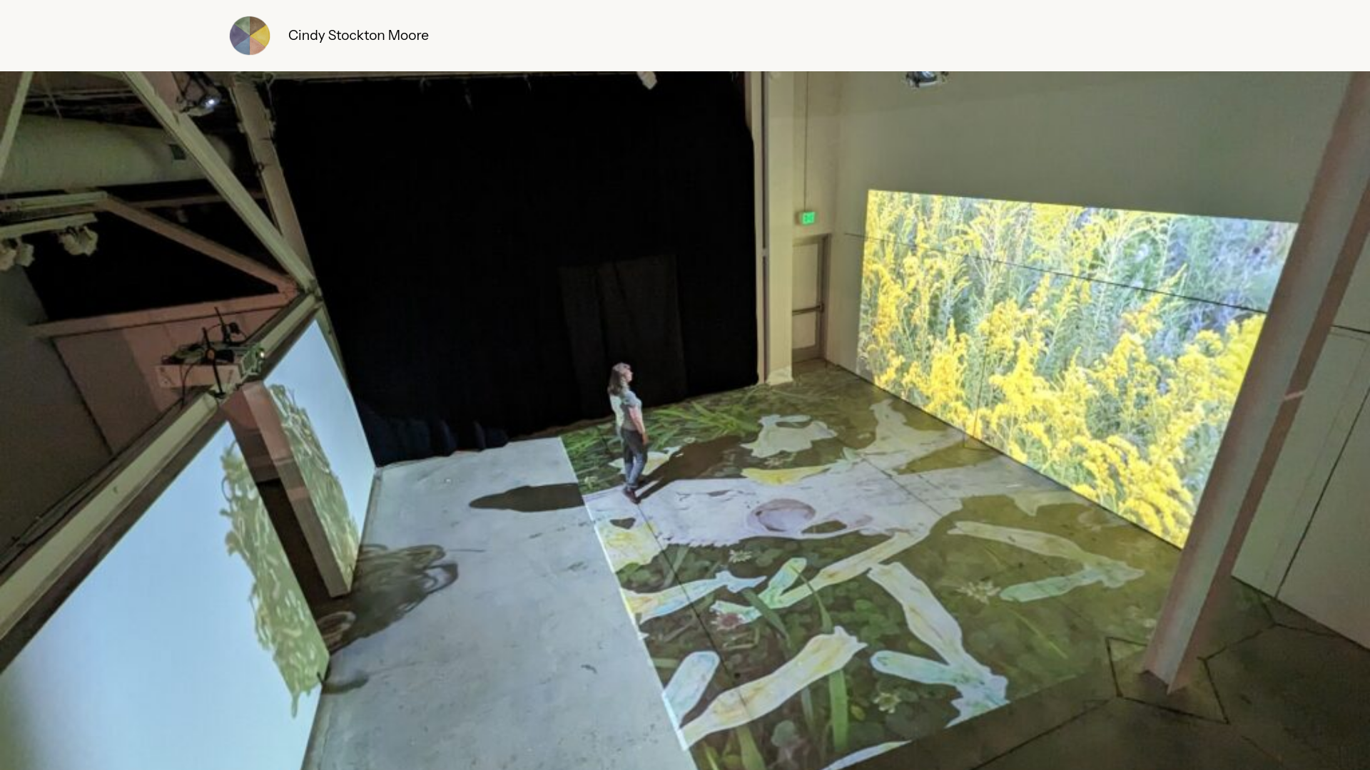 website screenshot of https://cindystocktonmoore.art