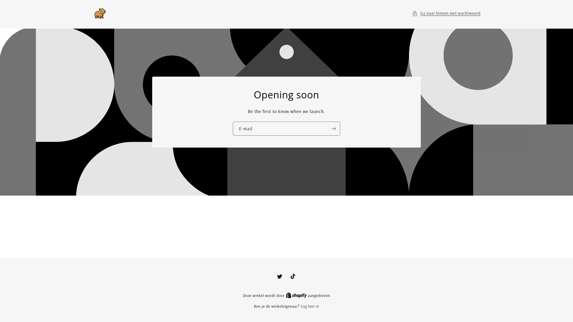 website screenshot of https://capybaralight.com/