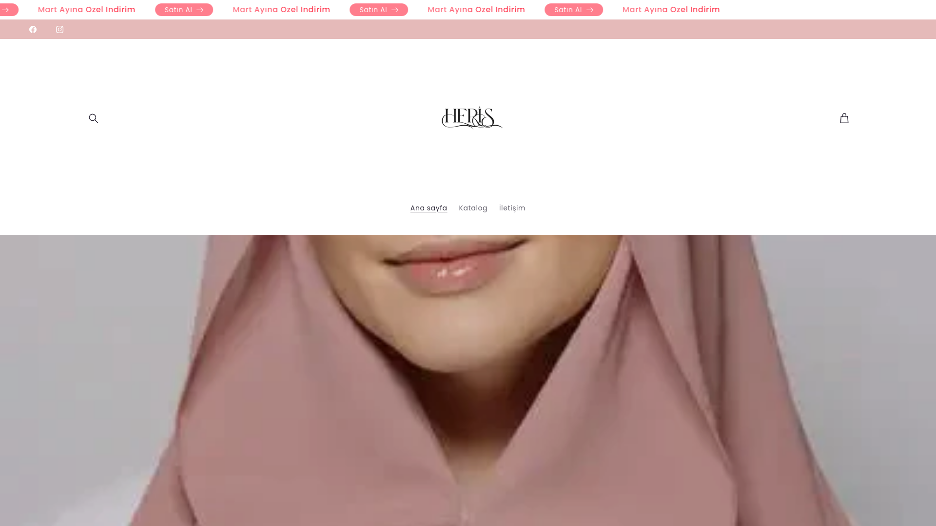 website screenshot of https://heristr.com