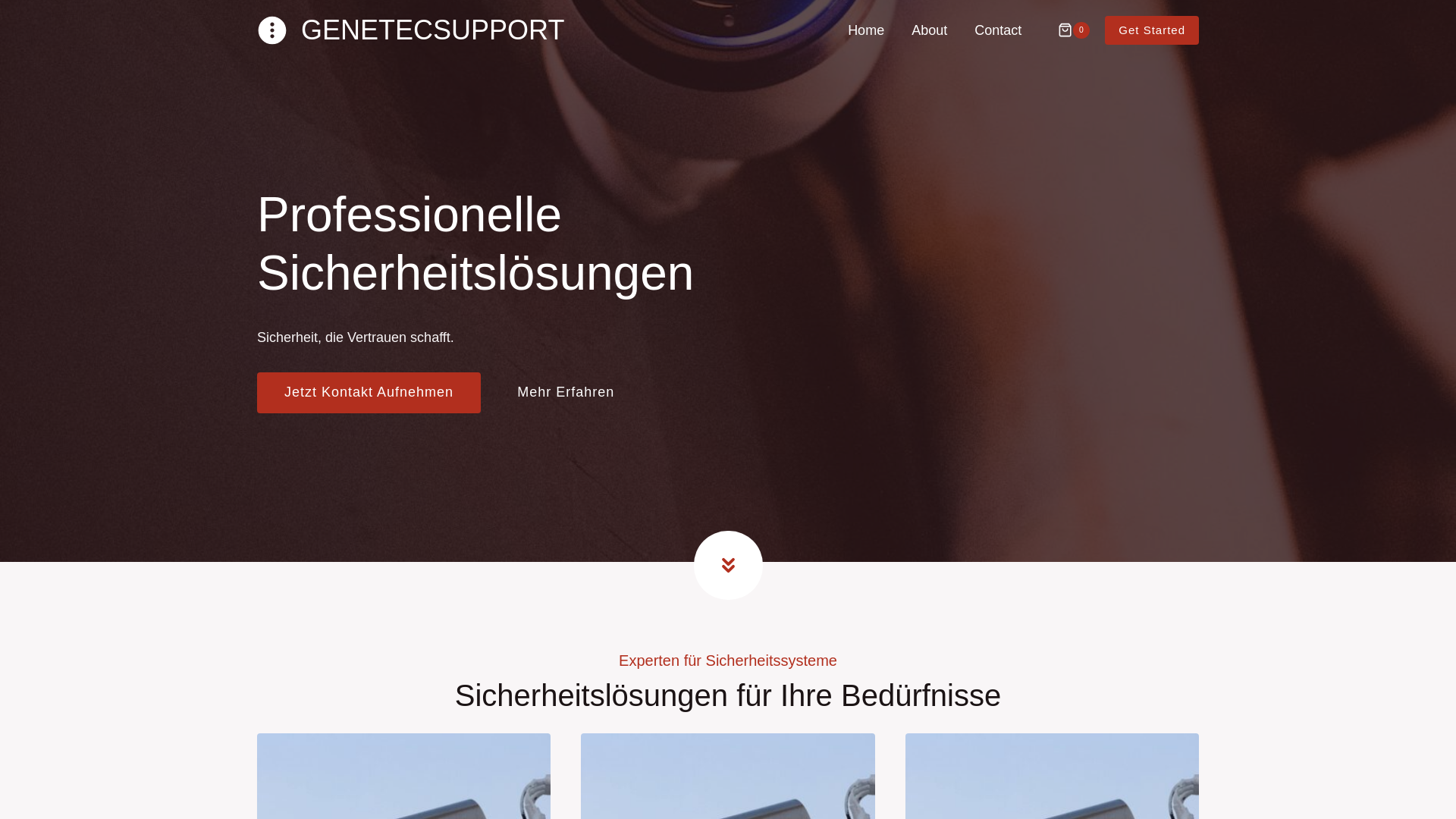 website screenshot of https://genetecsupport.eu/