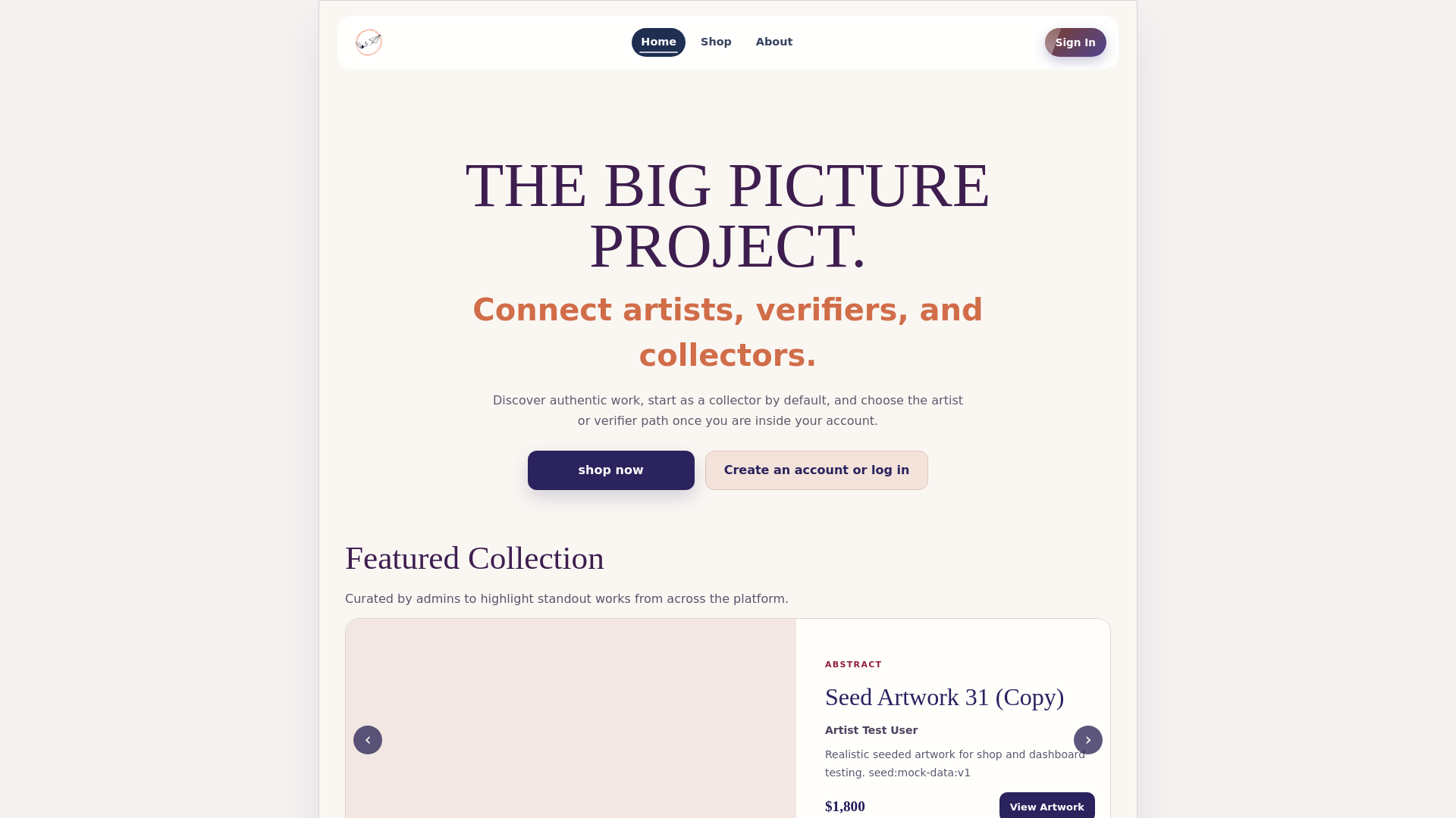 website screenshot of https://thebigpictureproject.pages.dev/